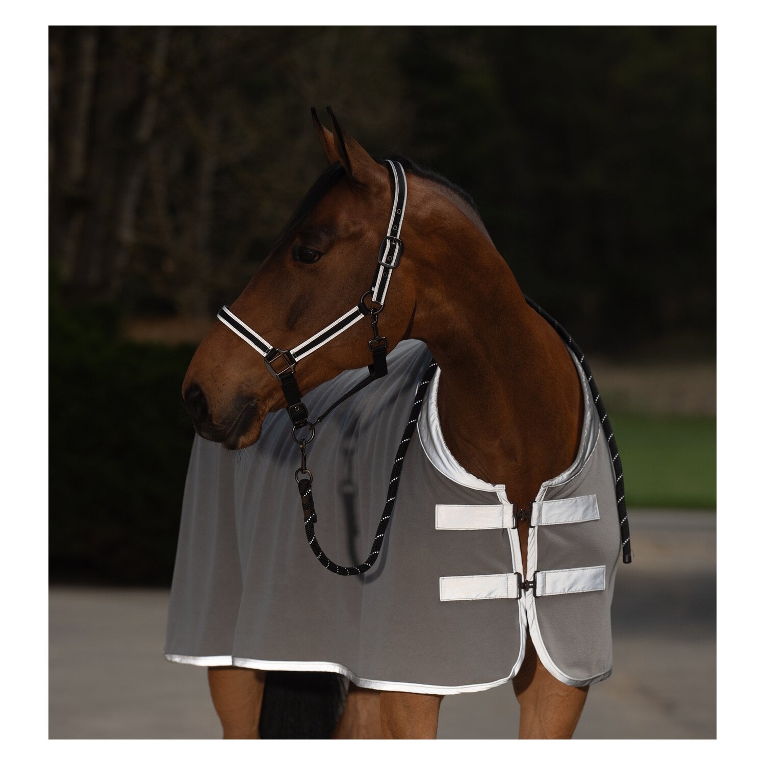 PROTECT by Horse-friends Reflektierendes Halfter &ndash; Ansicht 3