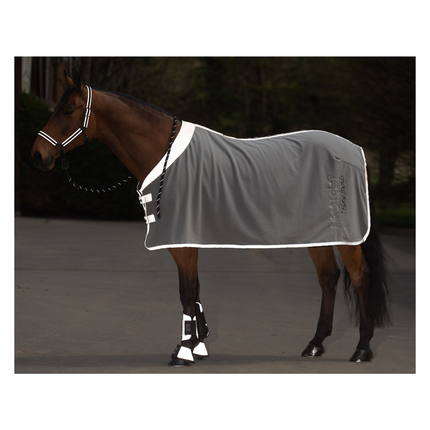 PROTECT by Horse-friends Reflektierendes Halfter &ndash; Ansicht 4