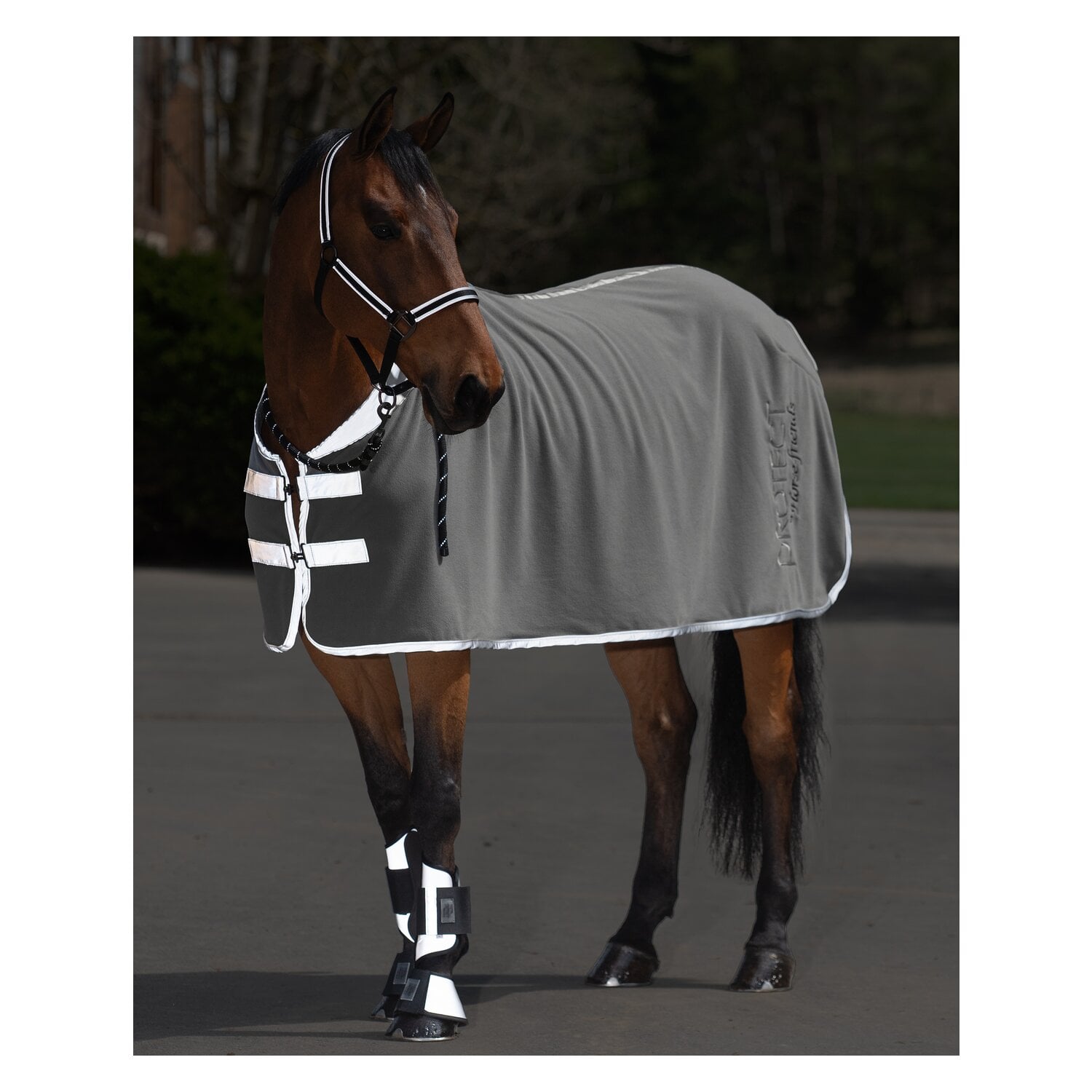 PROTECT by Horse-friends Reflektierendes Halfter &ndash; Ansicht 5