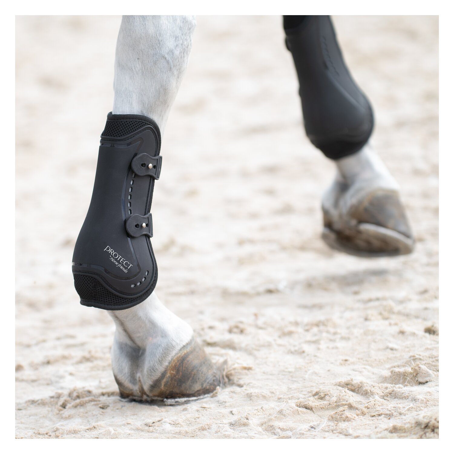 PROTECT by Horse-friends Gamaschen Valencia, für die Vorderbeine – Ansicht 2