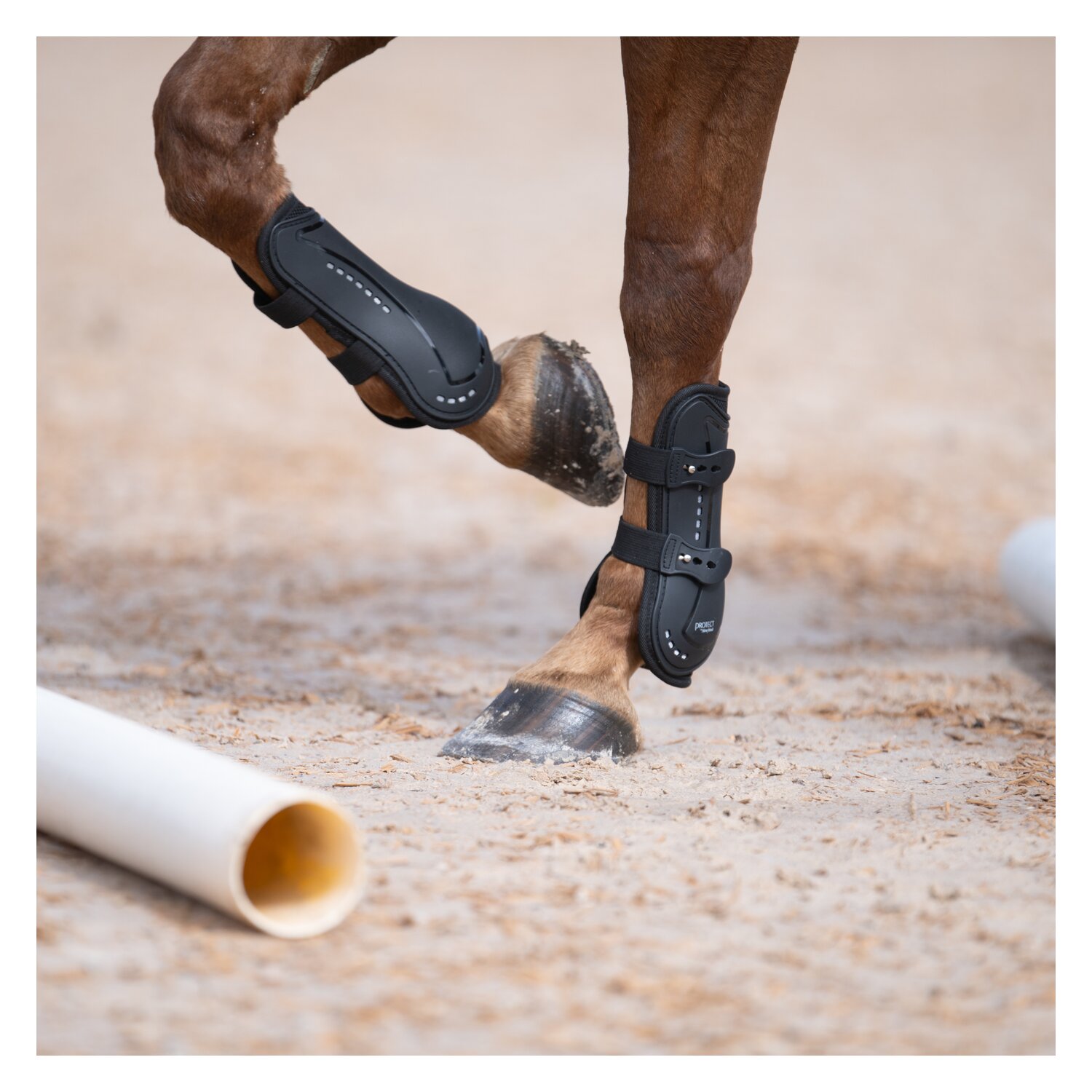PROTECT by Horse-friends Gamaschen Valencia, für die Vorderbeine – Ansicht 4