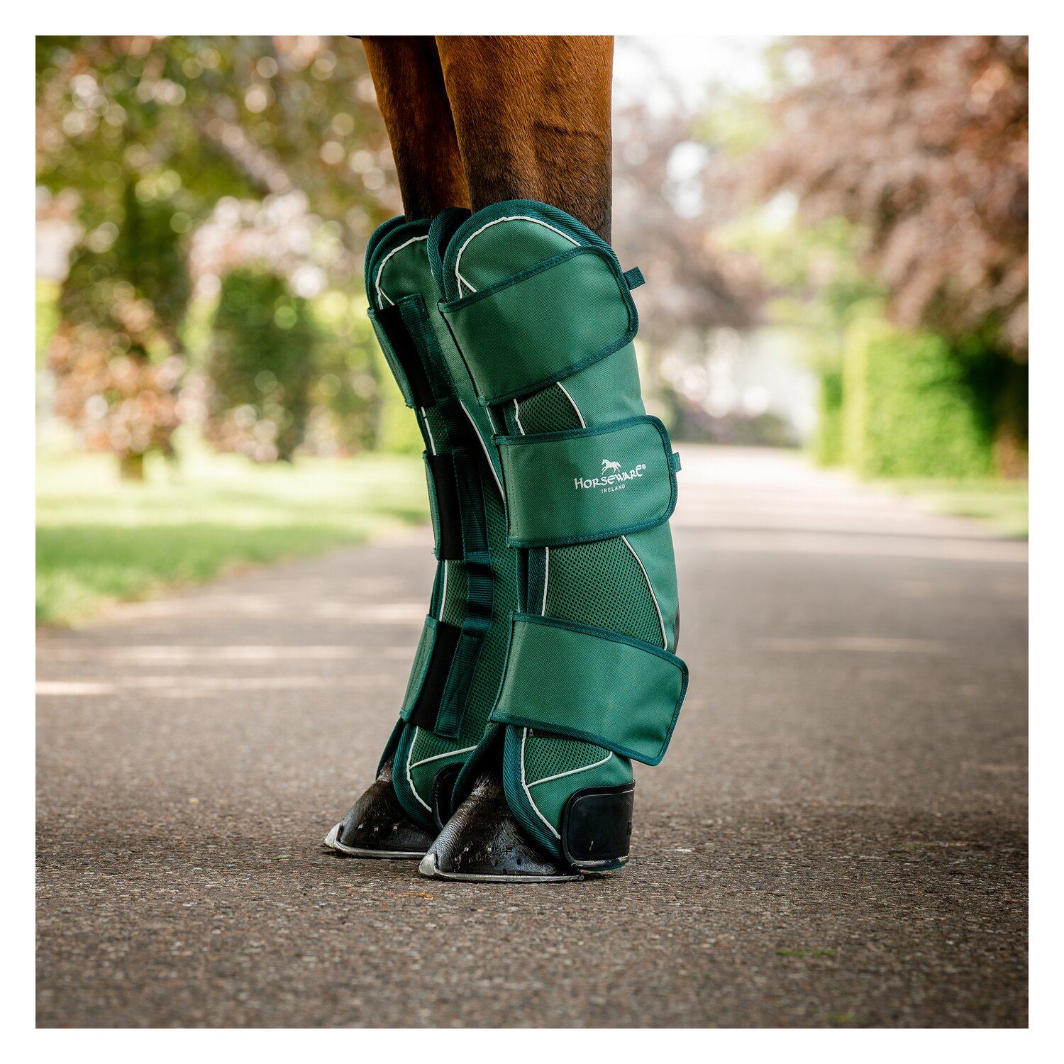 HORSEWARE Signature Transportgamaschen – Ansicht 3