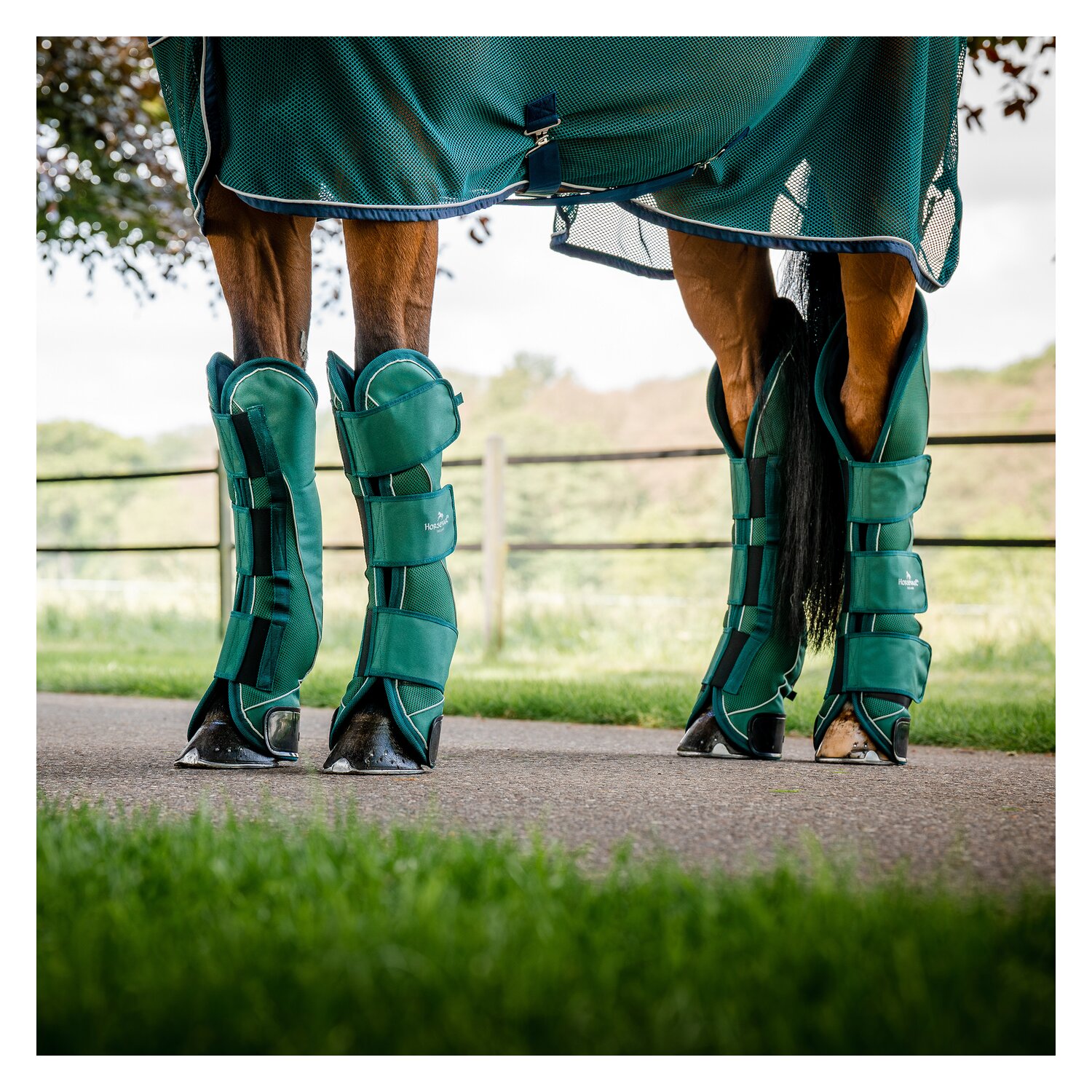 HORSEWARE Signature Transportgamaschen – Ansicht 1