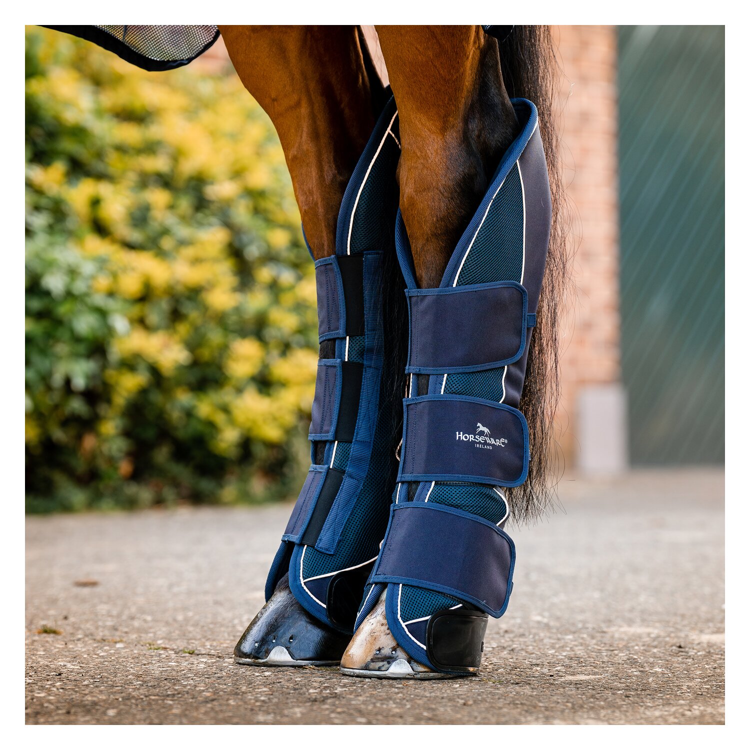 HORSEWARE Signature Transportgamaschen – Ansicht 2