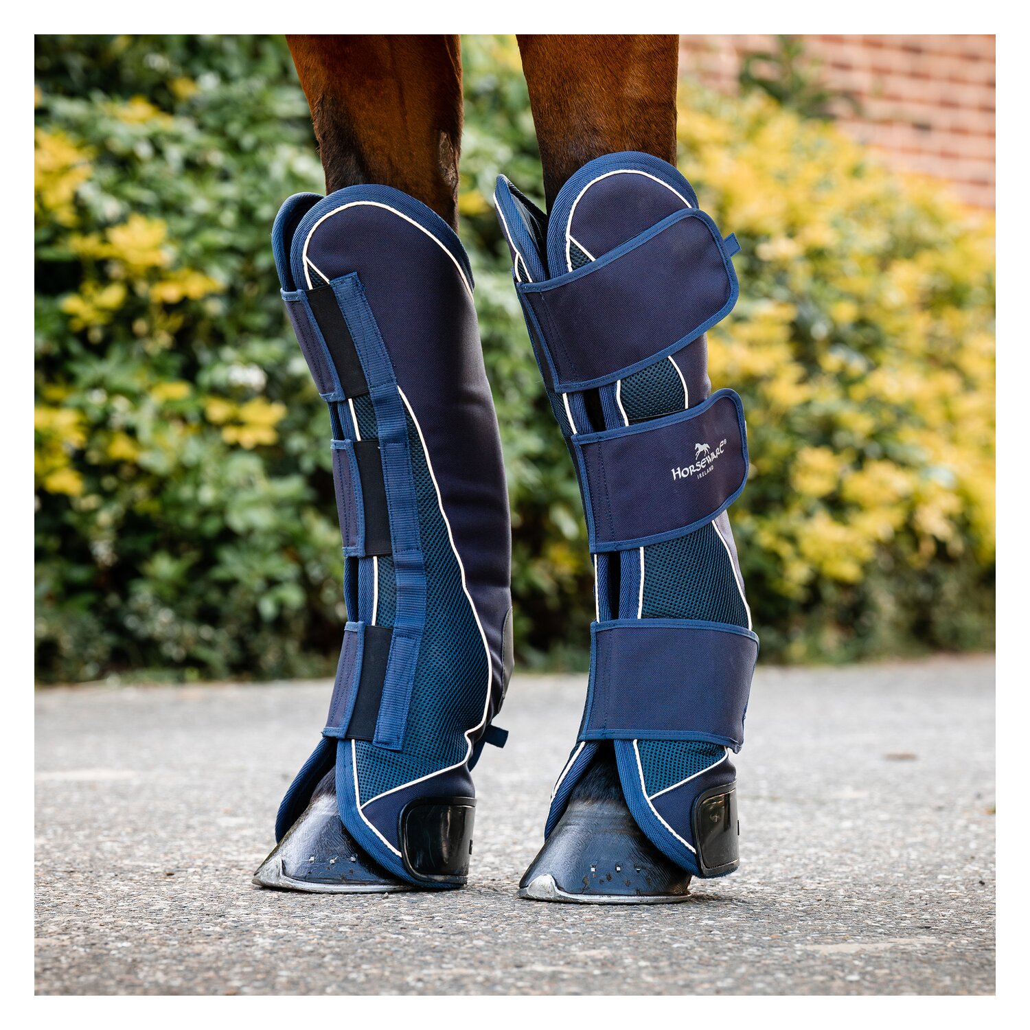 HORSEWARE Signature Transportgamaschen – Ansicht 3