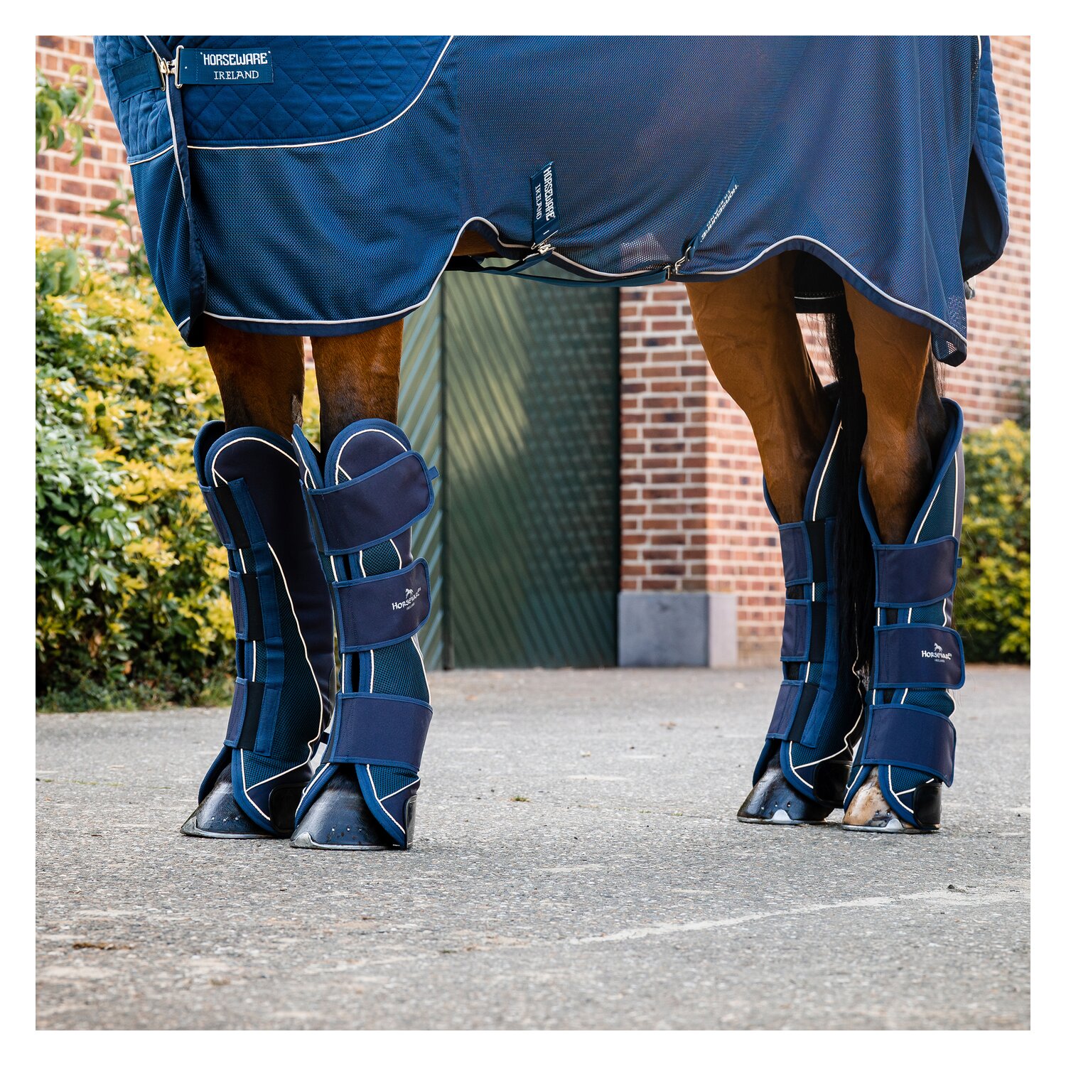 HORSEWARE Signature Transportgamaschen – Ansicht 1
