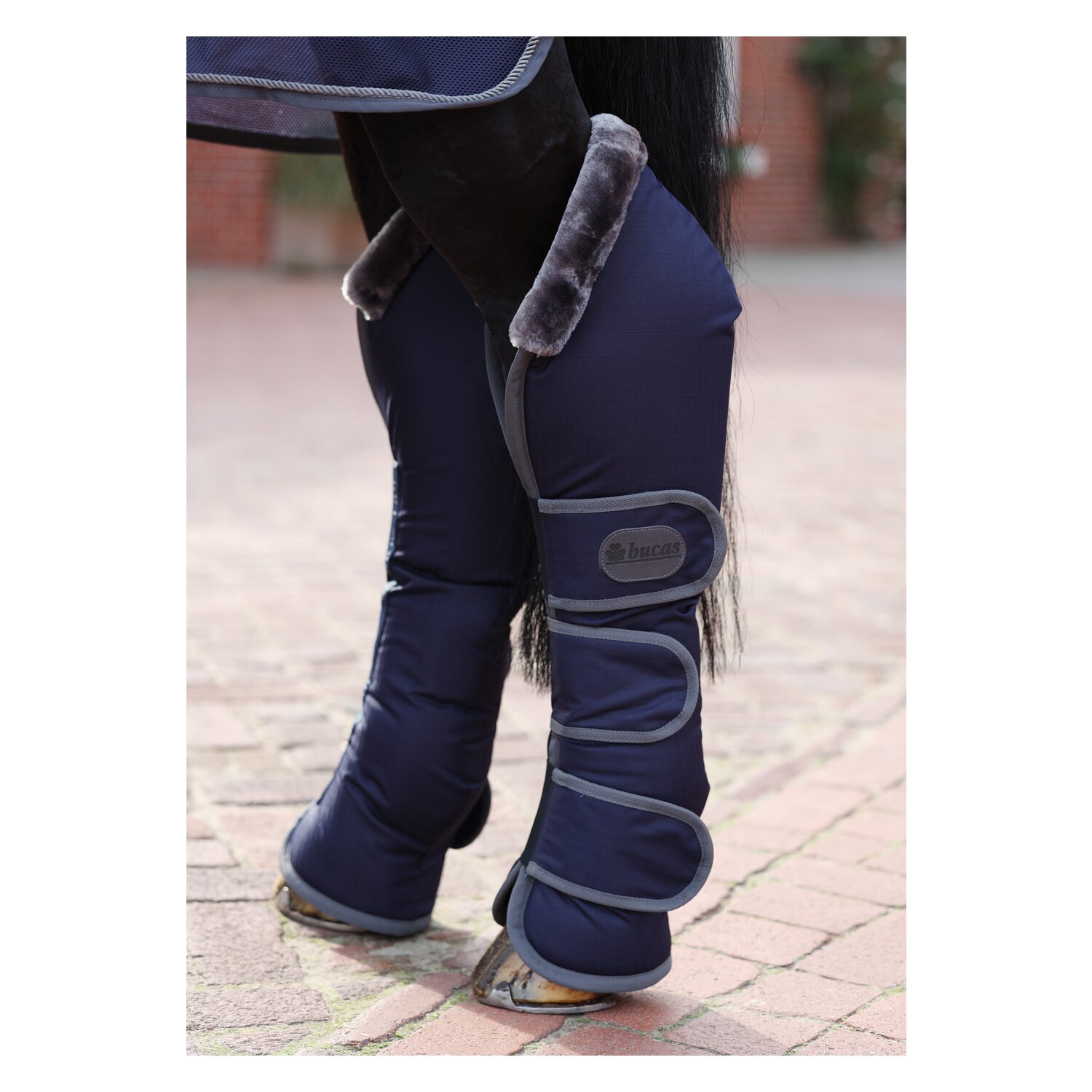 bucas Show-Line Collection Transportgamaschen – Ansicht 2