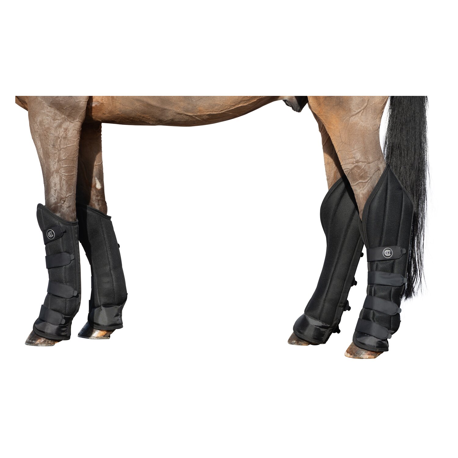 Cheval de Luxe Transportgamaschen – Ansicht 3