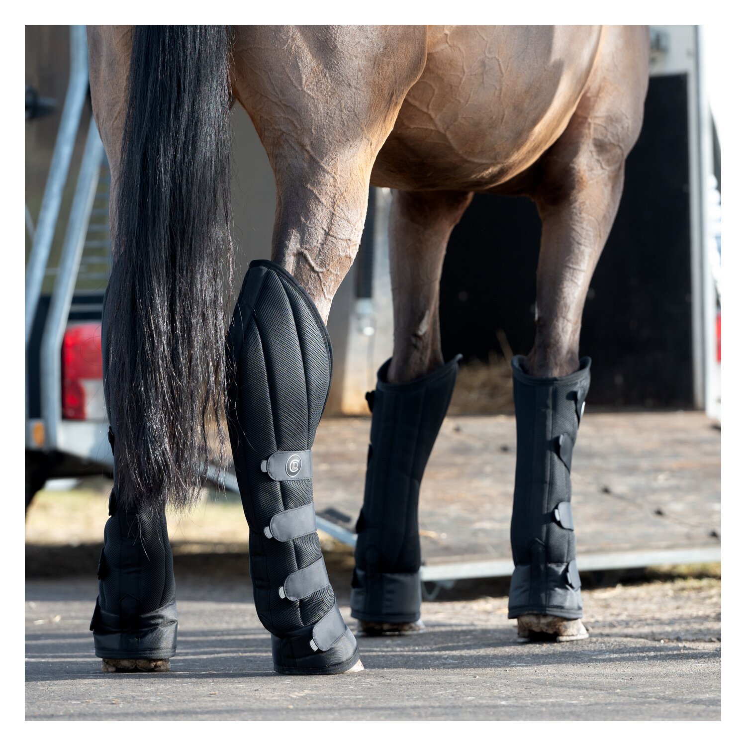 Cheval de Luxe Transportgamaschen – Ansicht 4