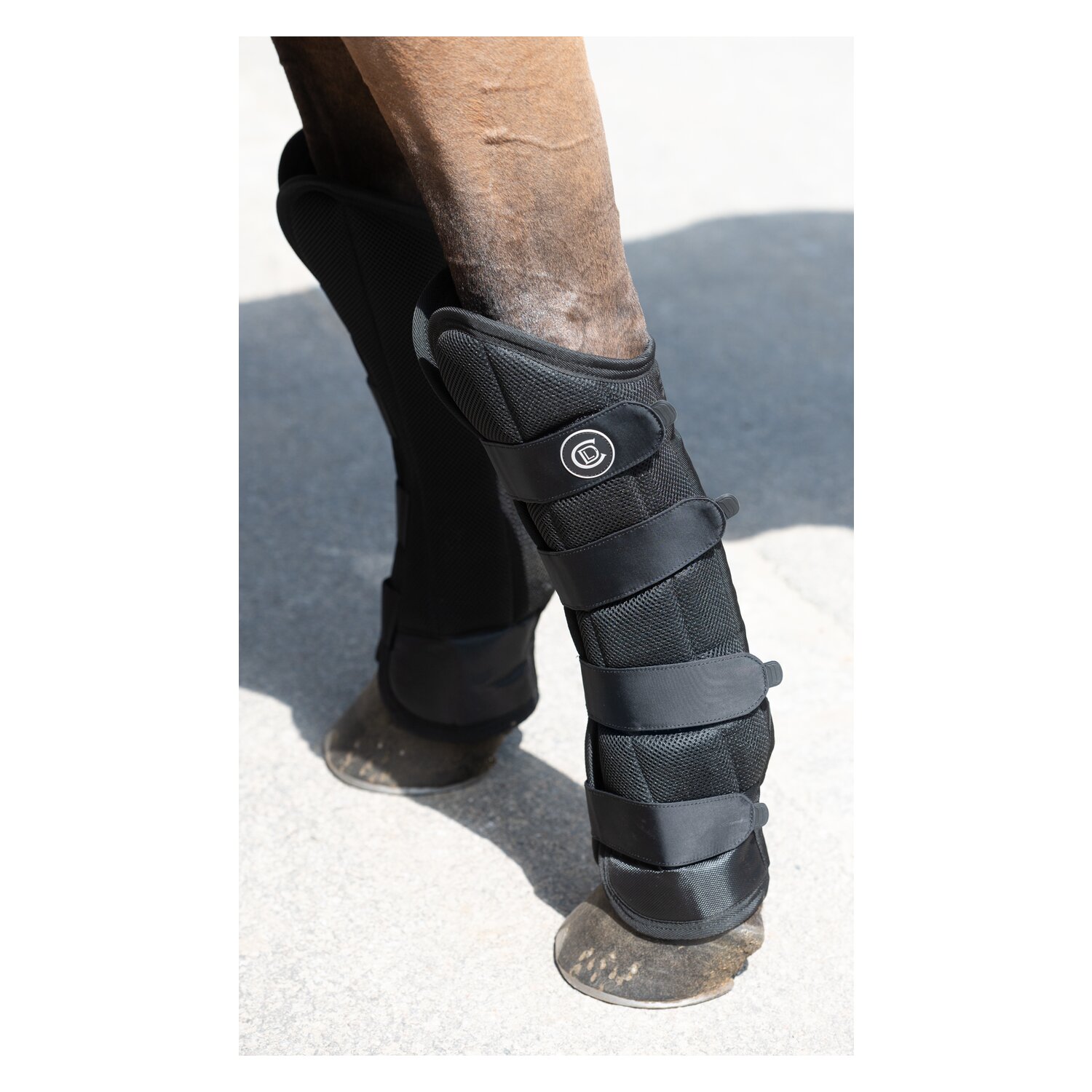 Cheval de Luxe Transportgamaschen – Ansicht 7