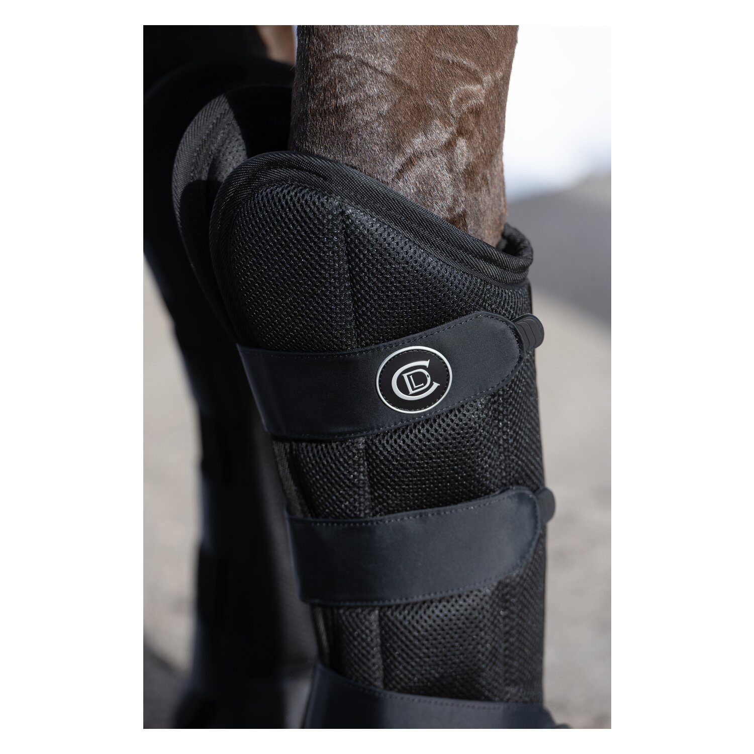 Cheval de Luxe Transportgamaschen – Ansicht 6