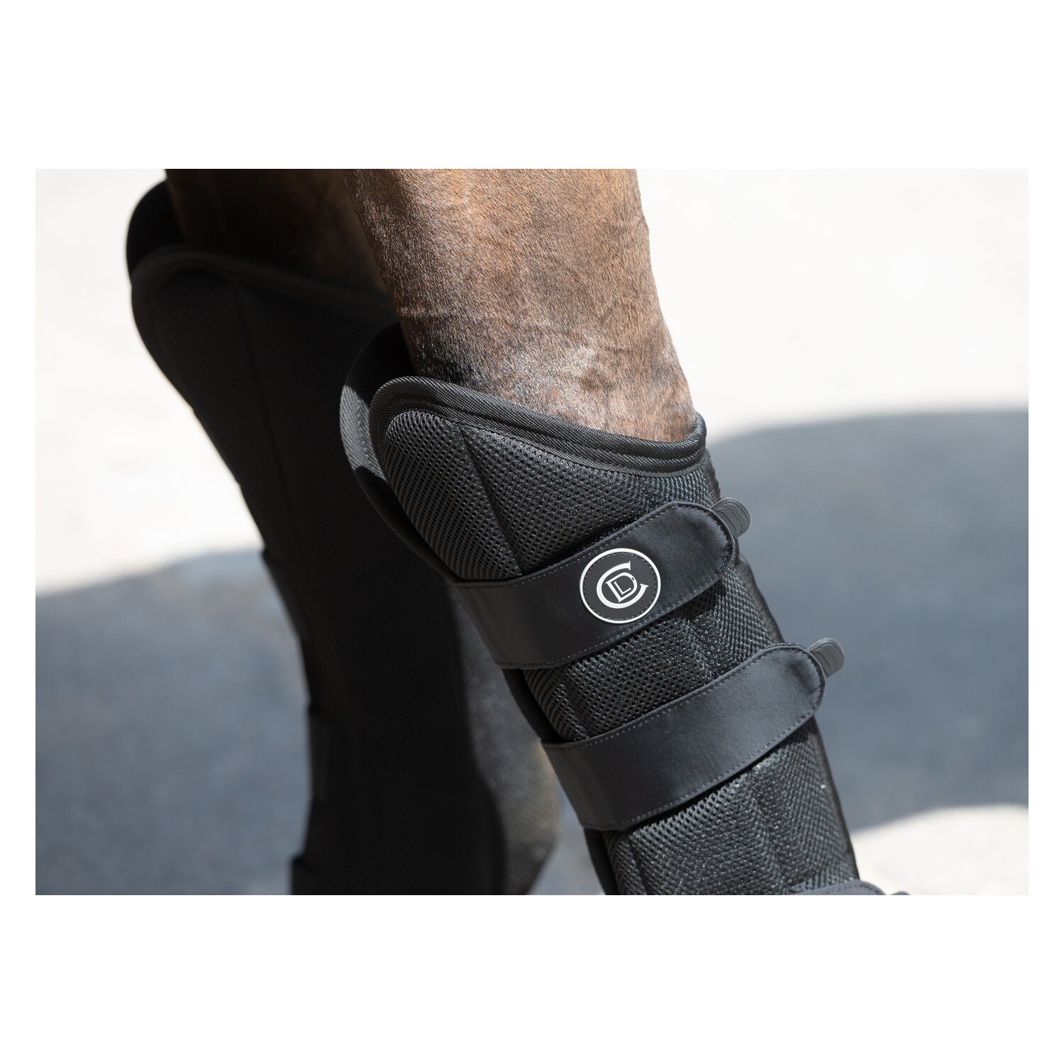 Cheval de Luxe Transportgamaschen – Ansicht 9