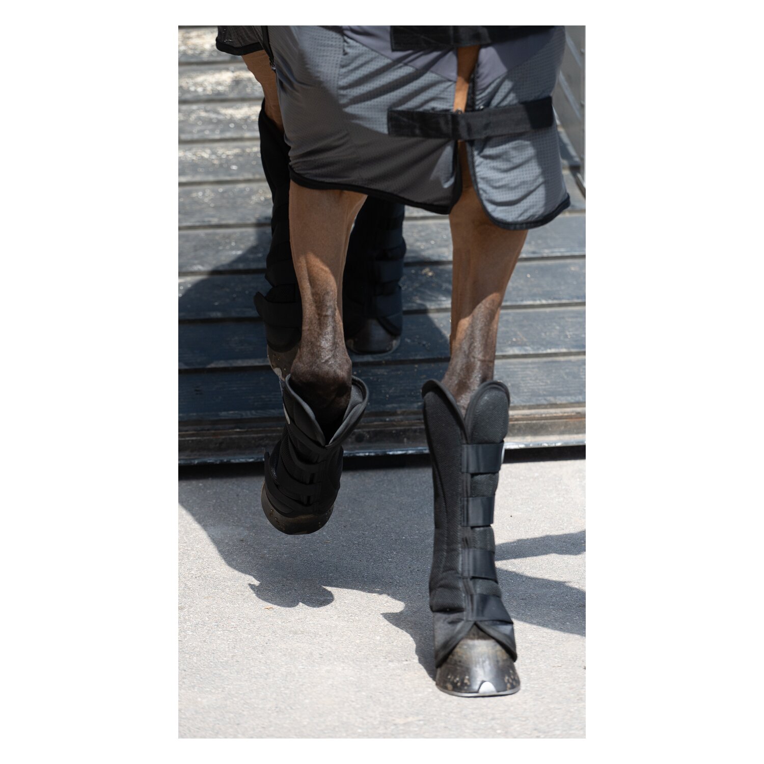 Cheval de Luxe Transportgamaschen – Ansicht 8