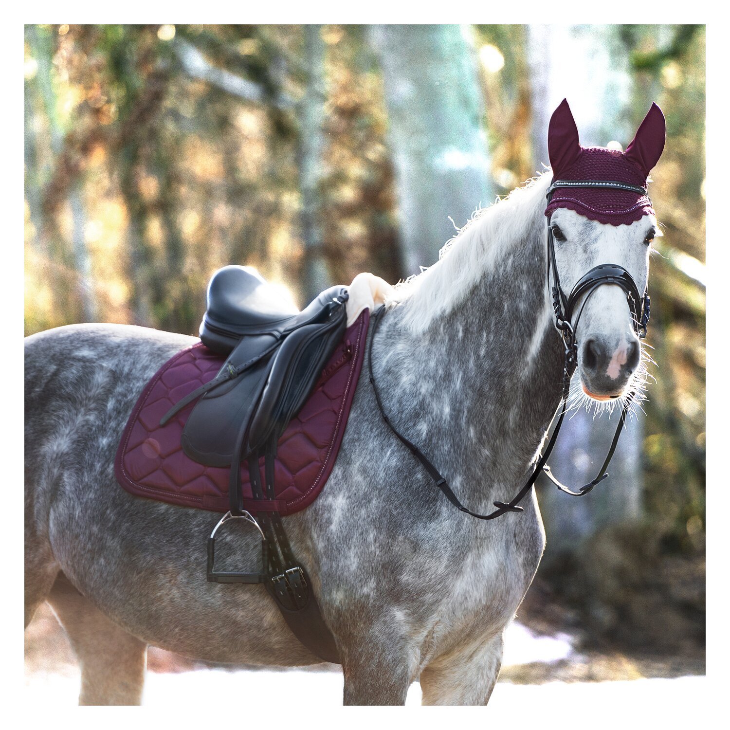 ESKADRON Basic Fliegenohren Crystal – Ansicht 2