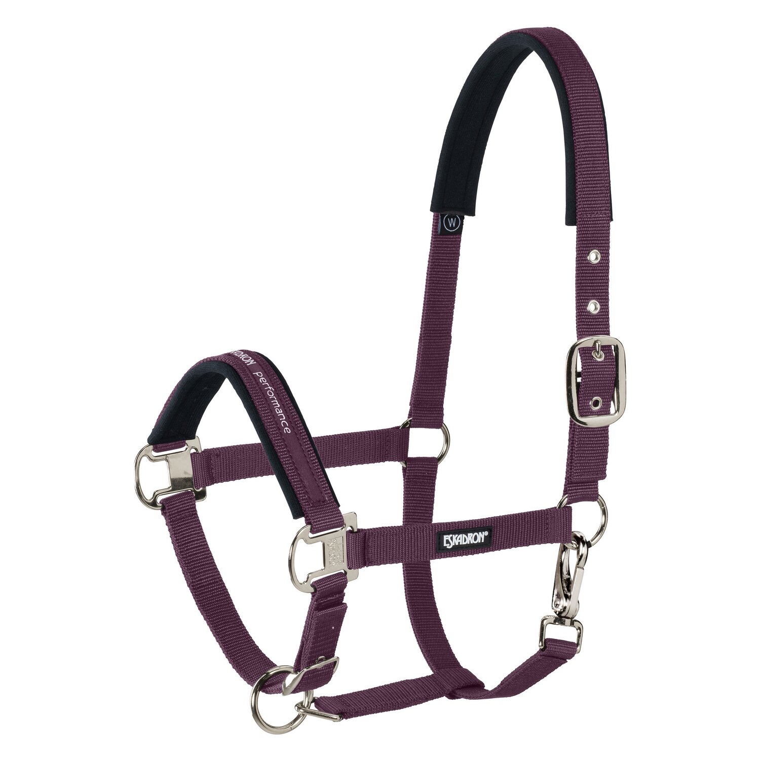 Eskadron Basic Halfter Pin Buckle – Ansicht 3