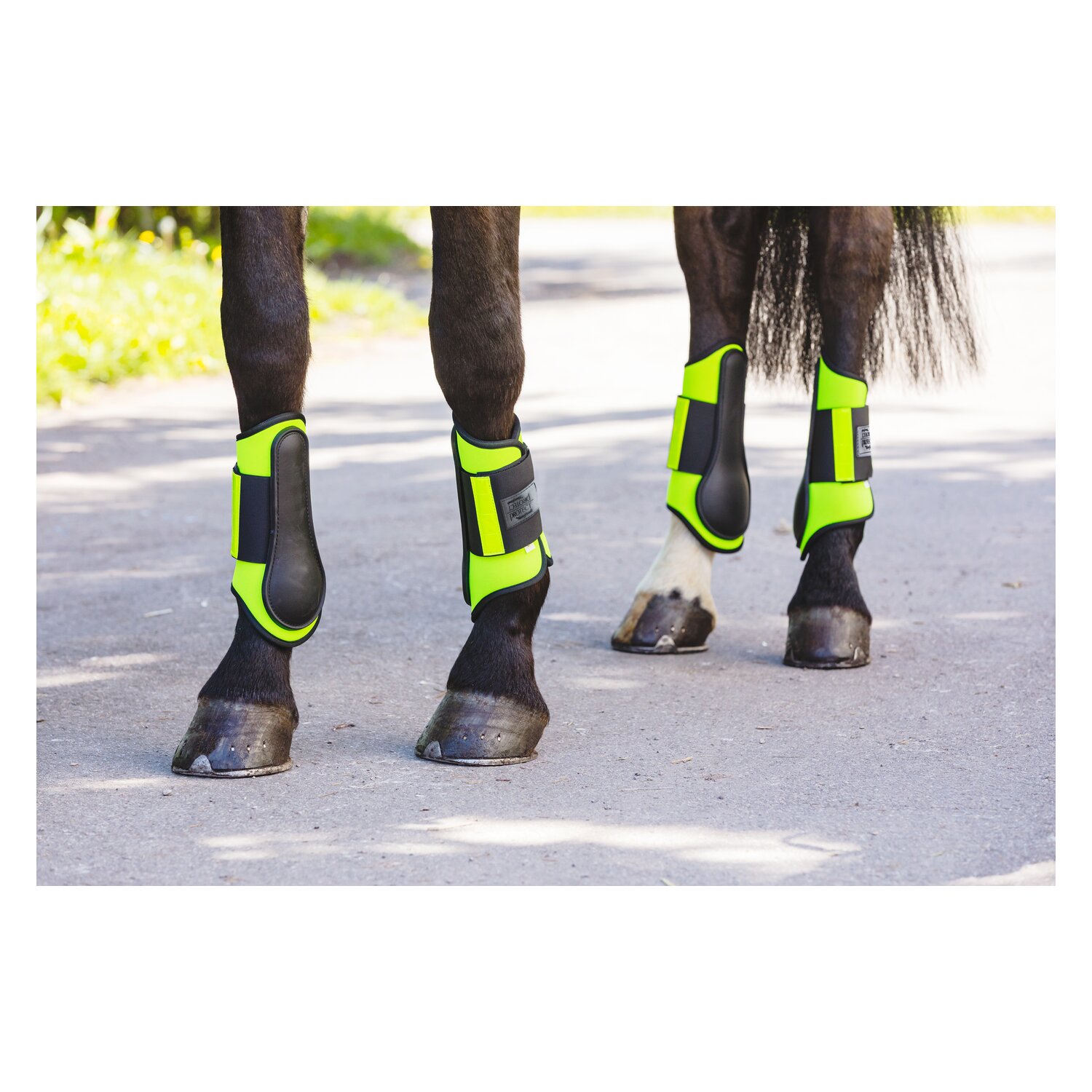 PROTECT by Horse-Friends Reflex-Gamaschen, hinten &ndash; Ansicht 5