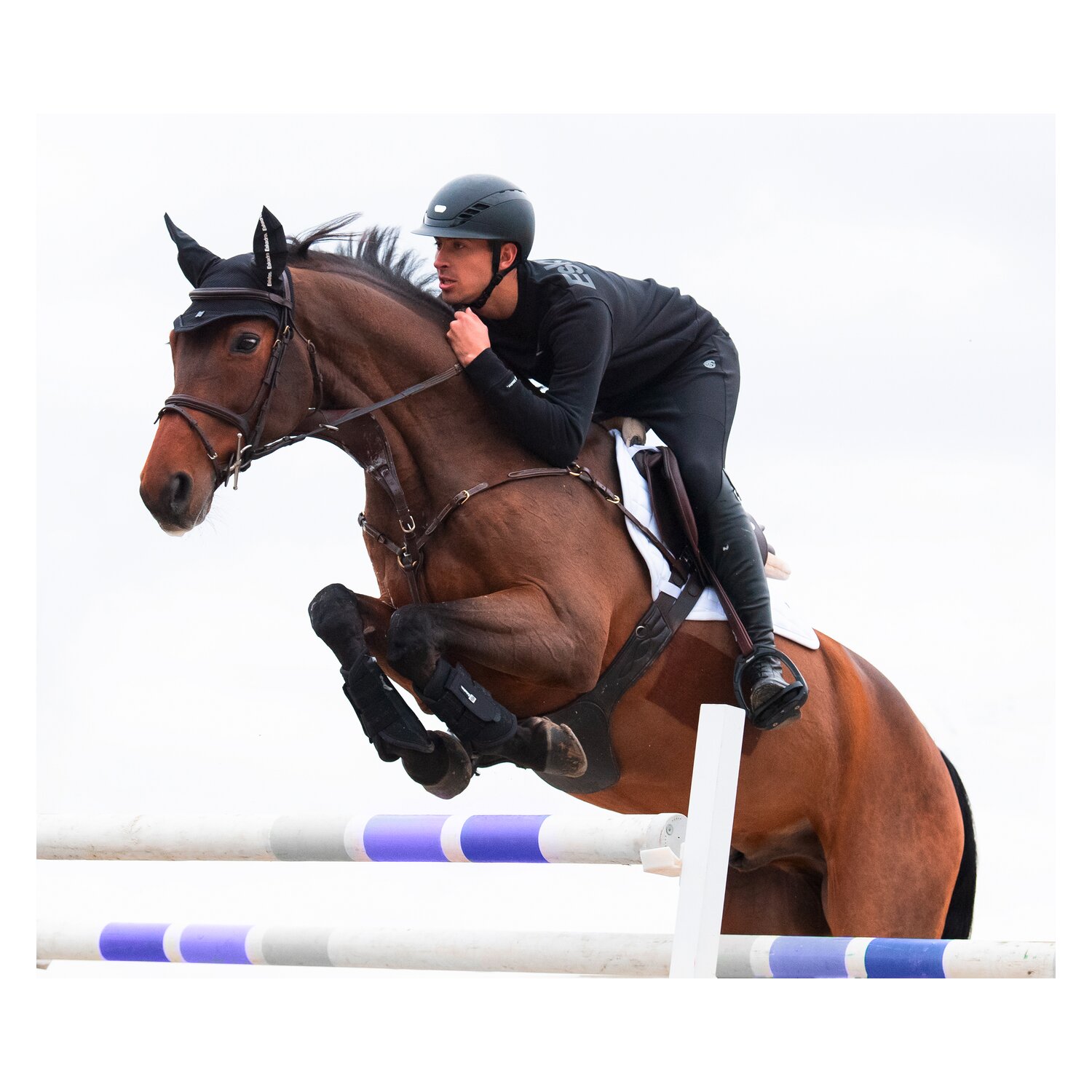 ESKADRON Dynamic Schabracke Sparkle Crystal – Ansicht 4
