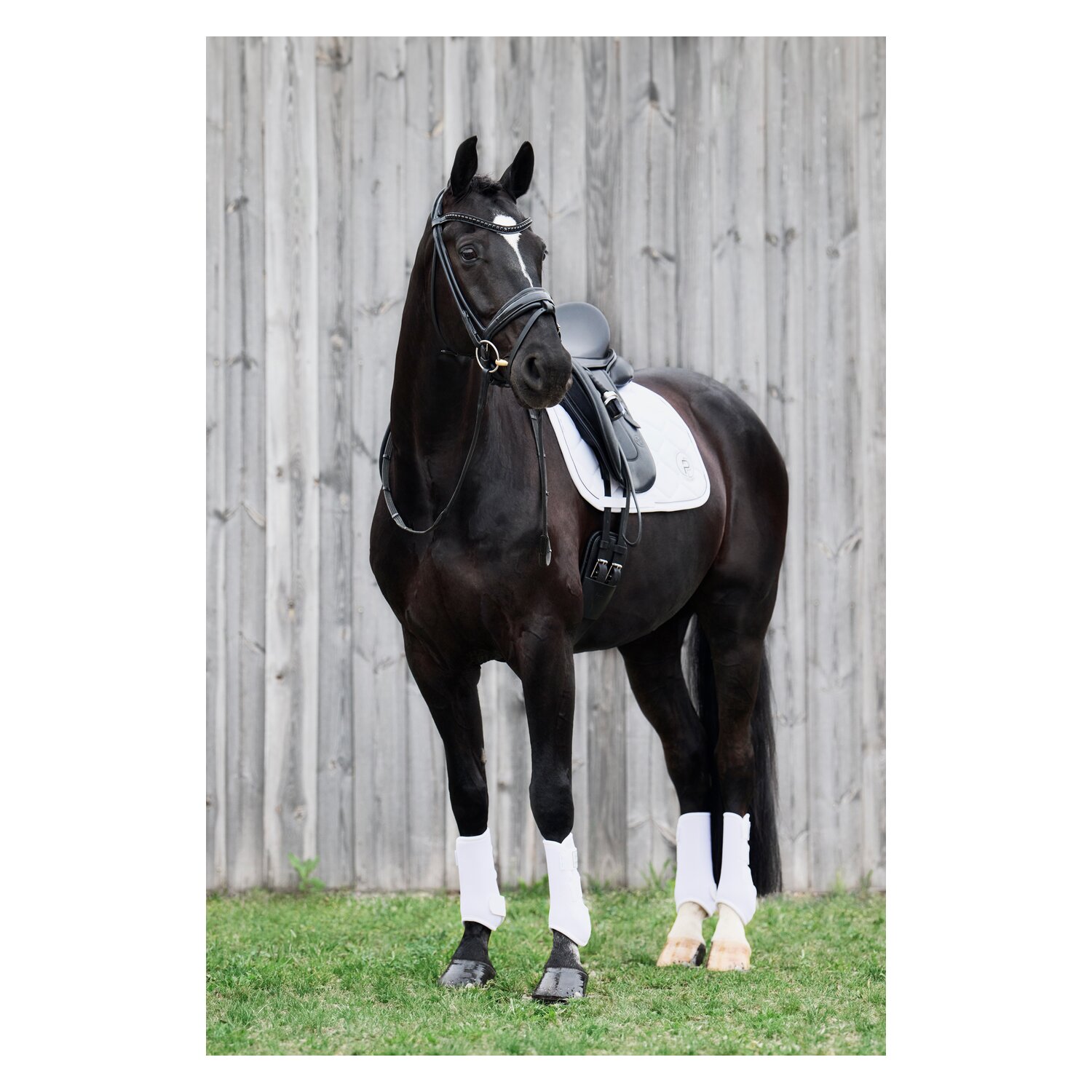 ESKADRON Platinum Schabracke Softshell Emblem – Ansicht 5