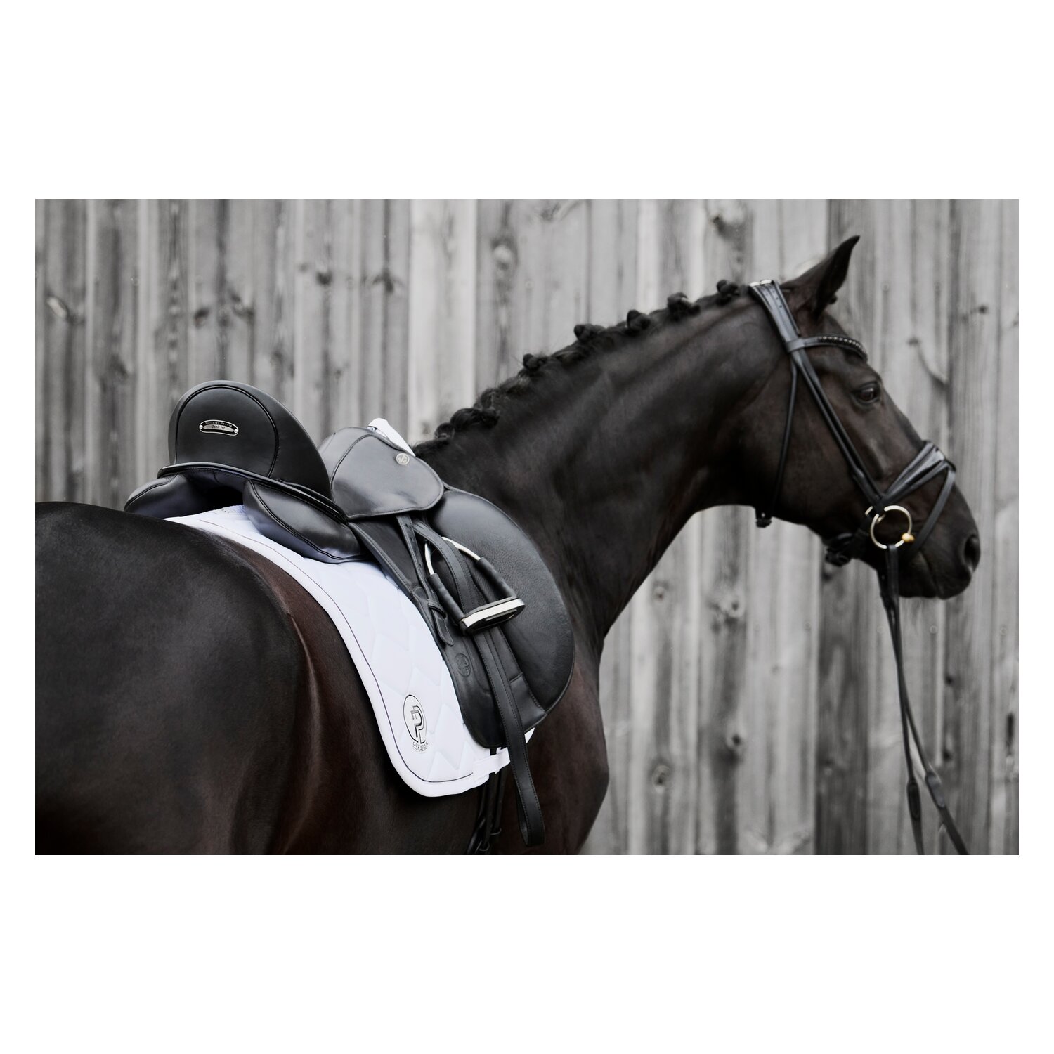 ESKADRON Platinum Schabracke Softshell Emblem – Ansicht 3