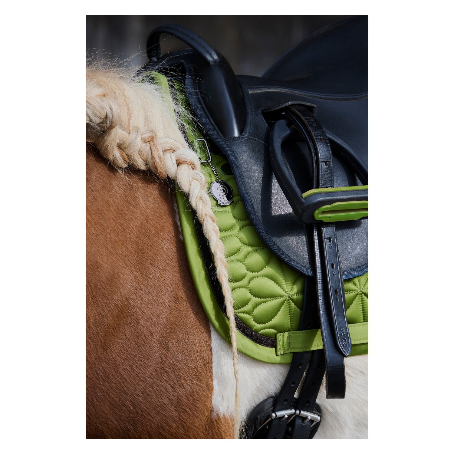 ESKADRON Platinum Schabracke Mattgloss Bow – Ansicht 5