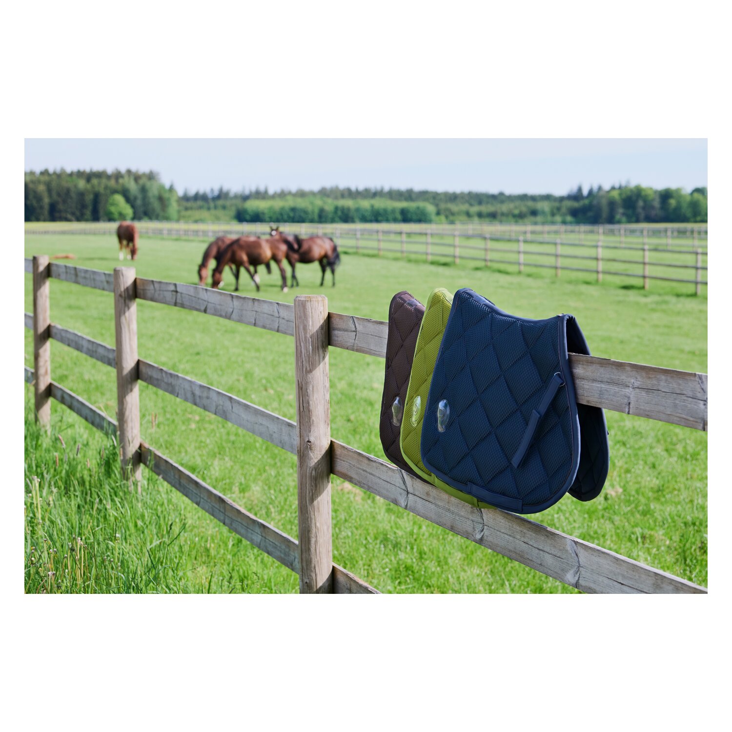 ESKADRON Platinum Schabracke Mesh – Ansicht 4