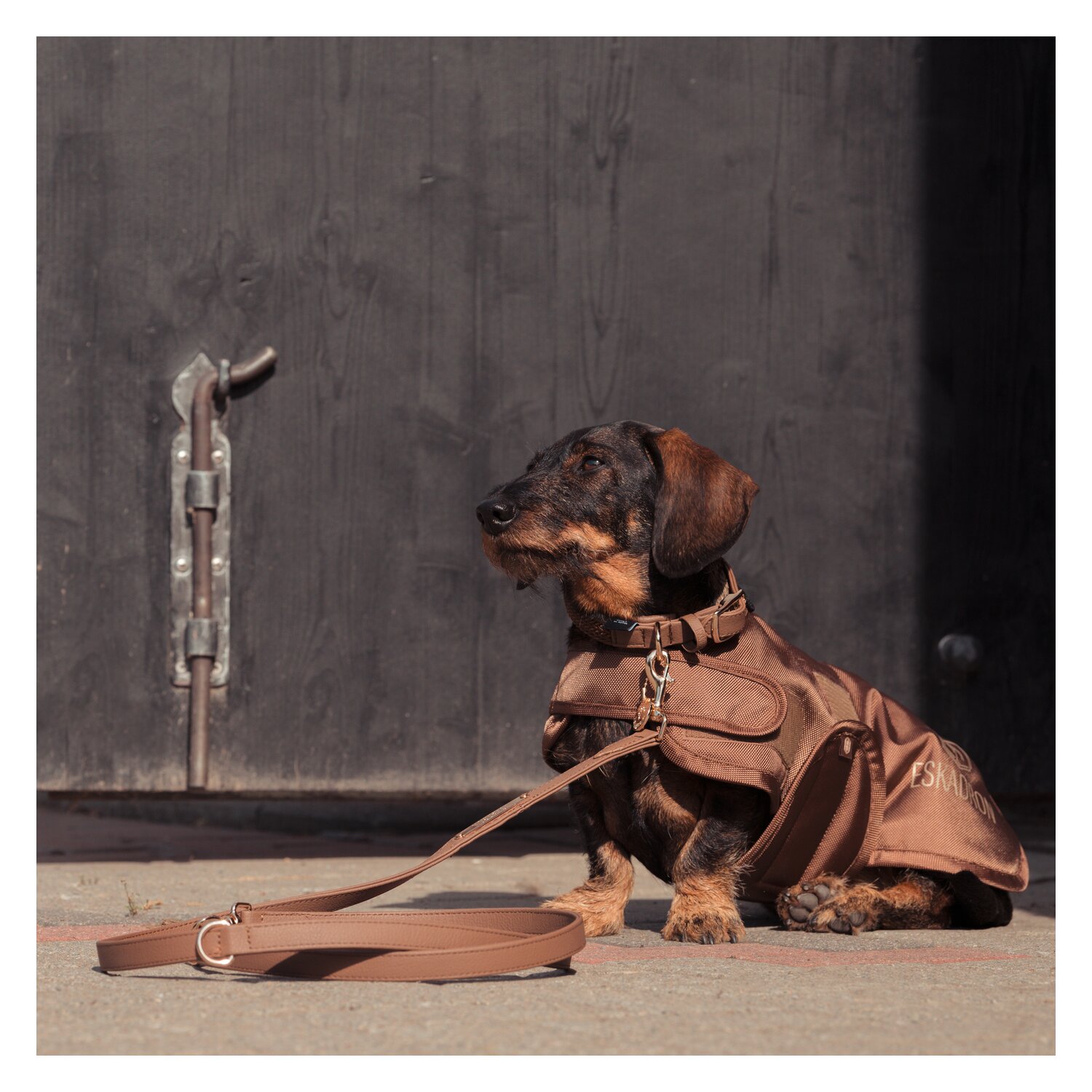 ESKADRON Heritage Hunde-Set &ndash; Ansicht 3