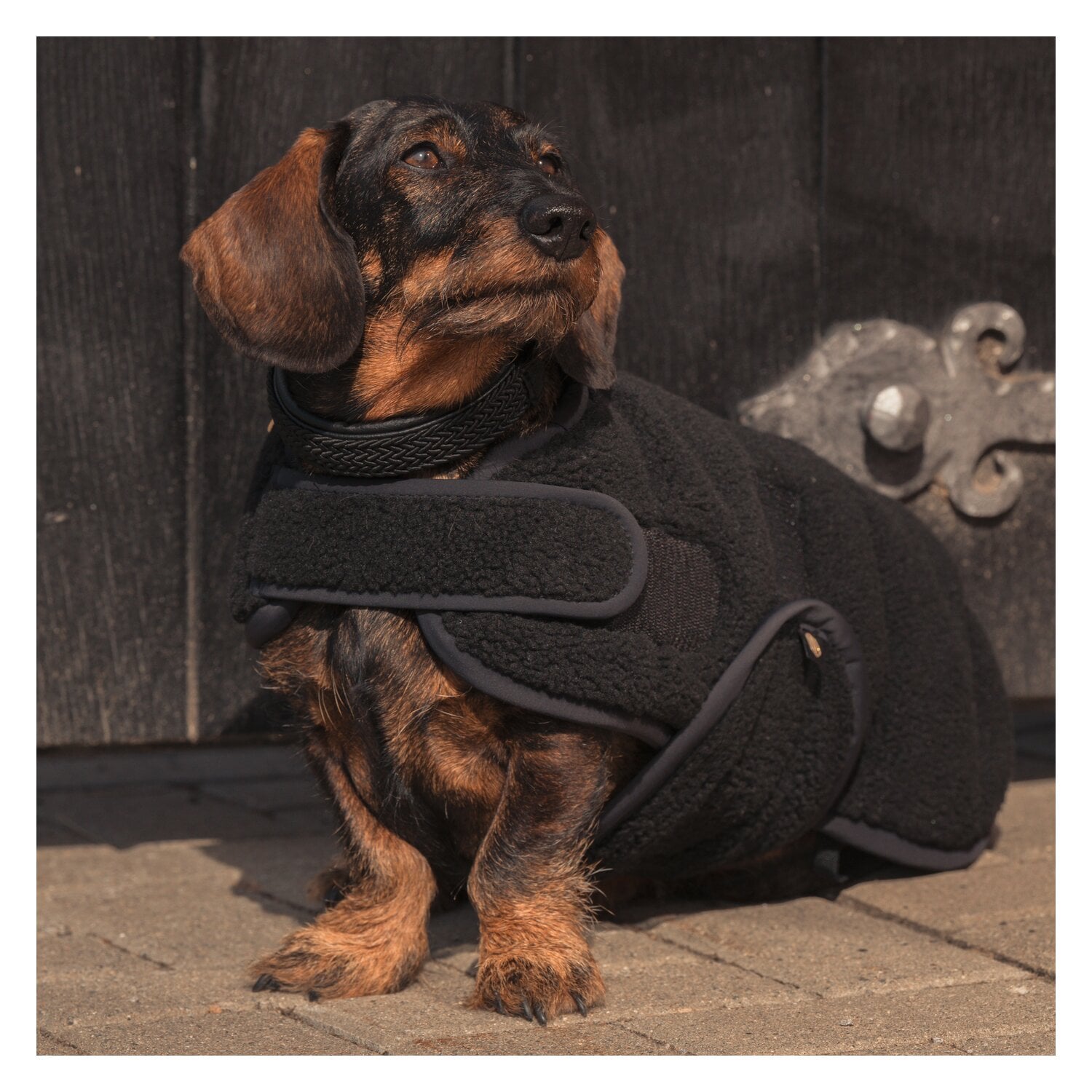 ESKADRON Heritage Hundemantel Teddy – Ansicht 2