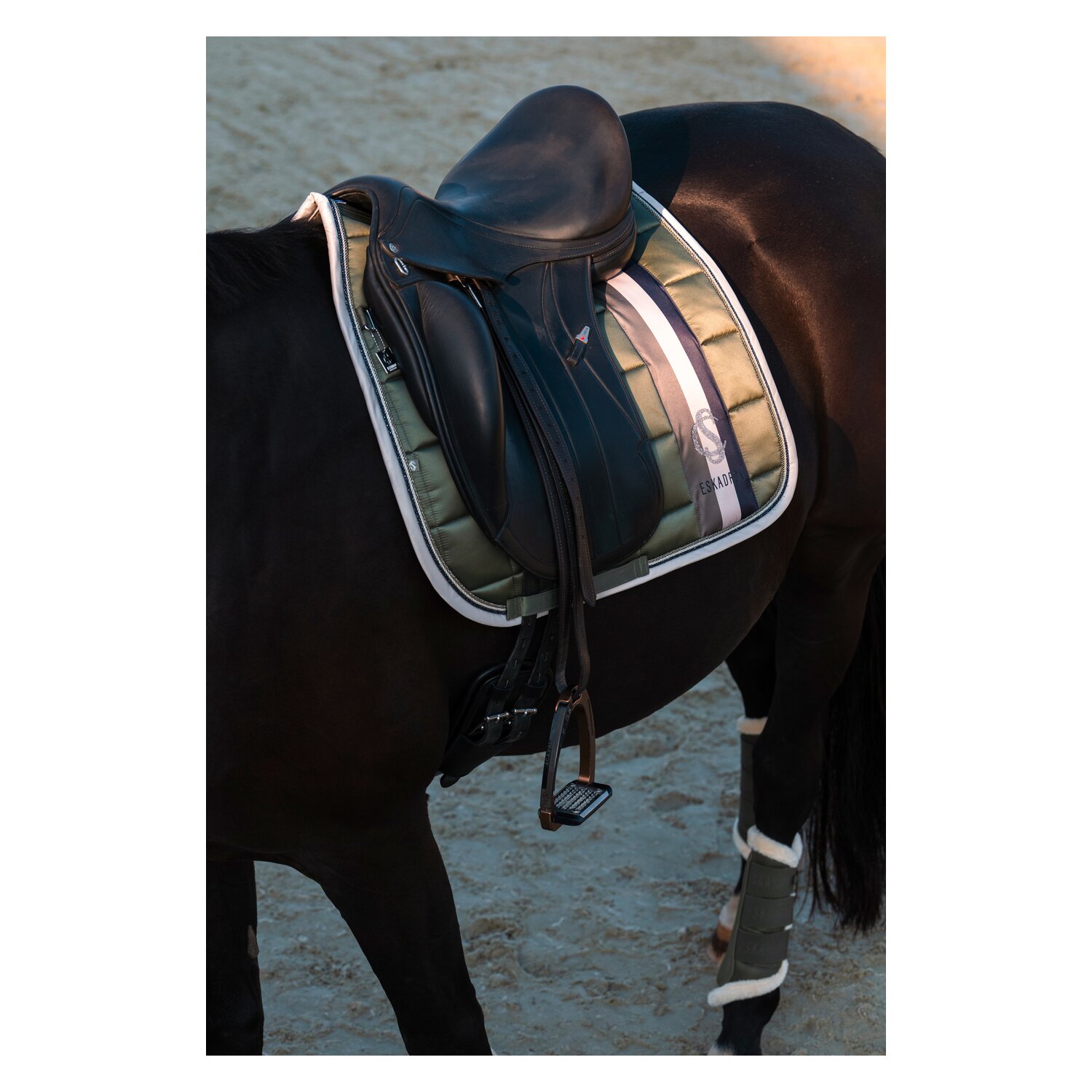 ESKADRON Classic Sports Schabracke Big Square Mattgloss – Ansicht 3