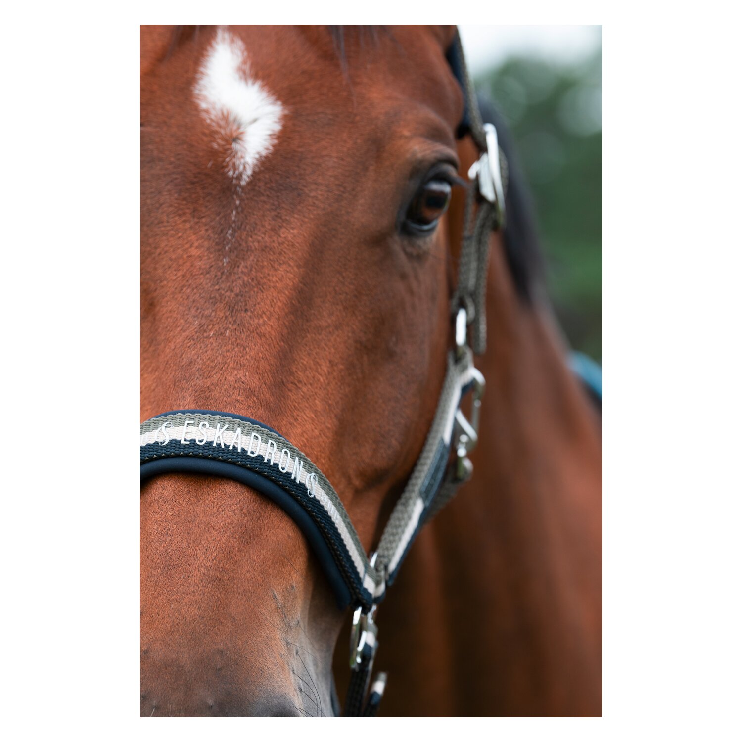 ESKADRON Classic Sports Halfter Double Pin – Ansicht 2