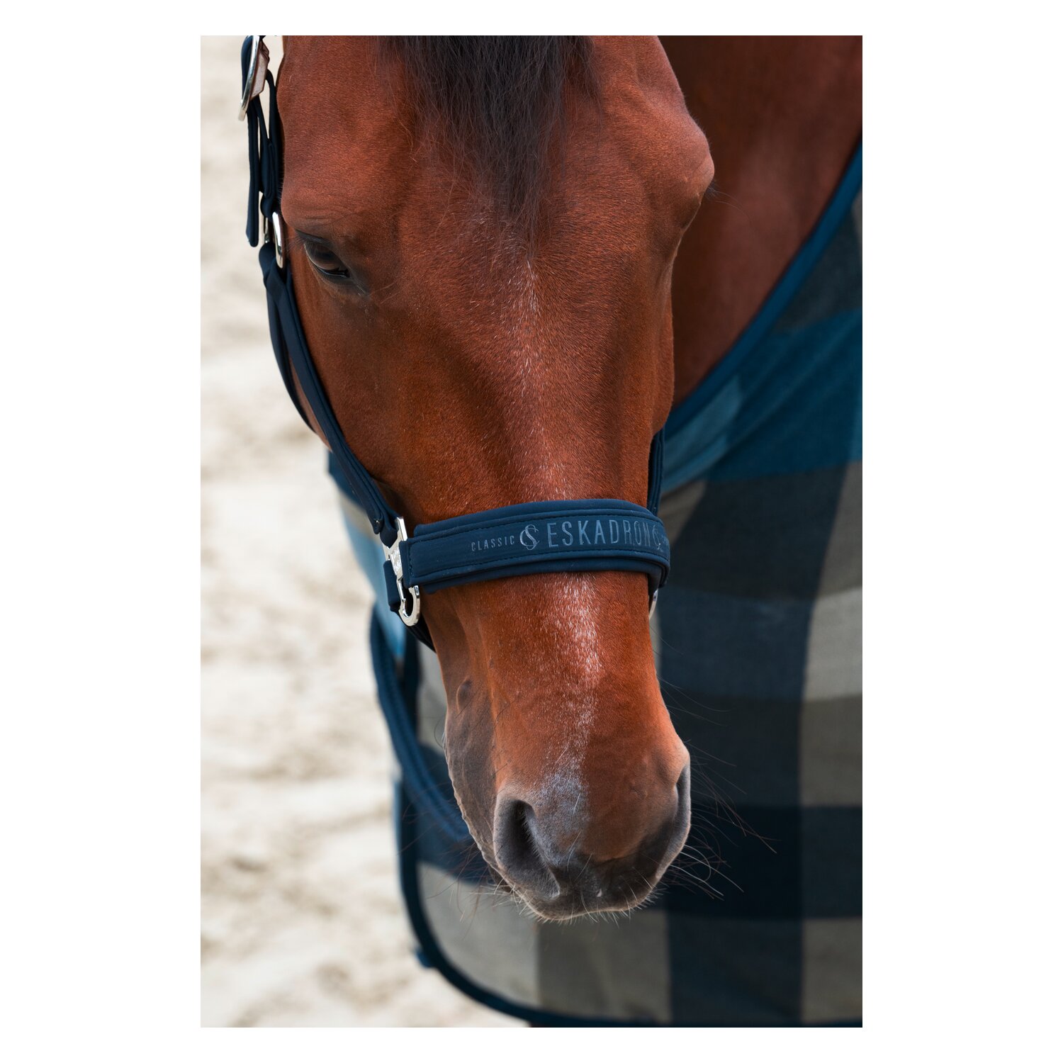 ESKADRON Classic Sports Halfter Softshell Double Pin – Ansicht 2