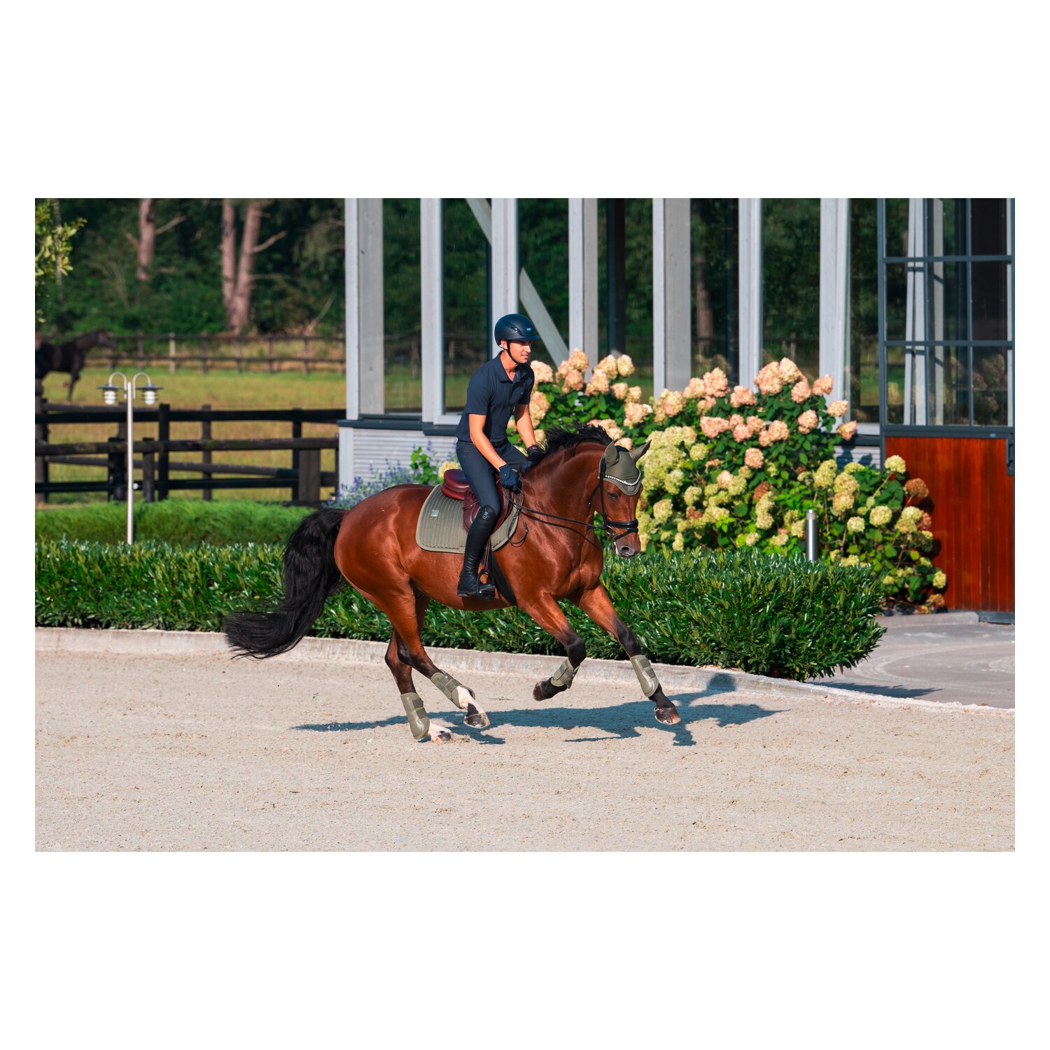 ESKADRON Classic Sports Gamaschen Softshell, für die Vorderbeine – Ansicht 3