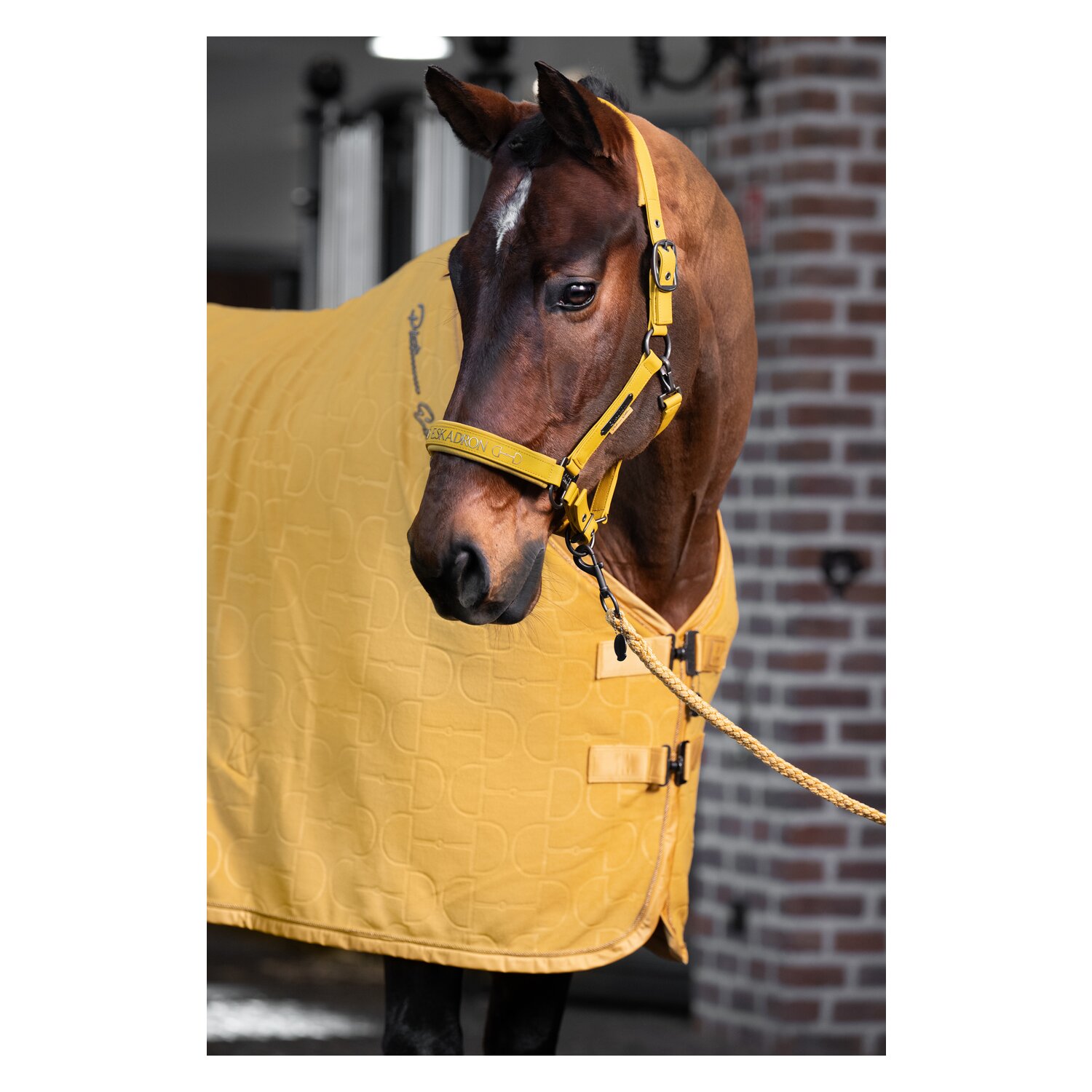 ESKADRON Platinum Abschwitzdecke Fleece Stamp Bit – Ansicht 4