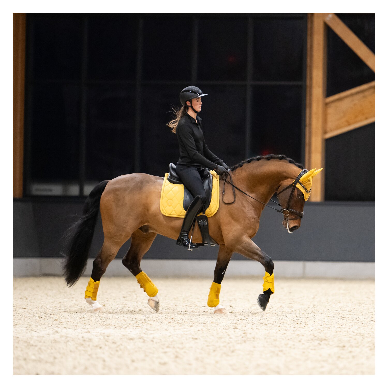 ESKADRON Platinum Schabracke Pro Soft – Ansicht 4