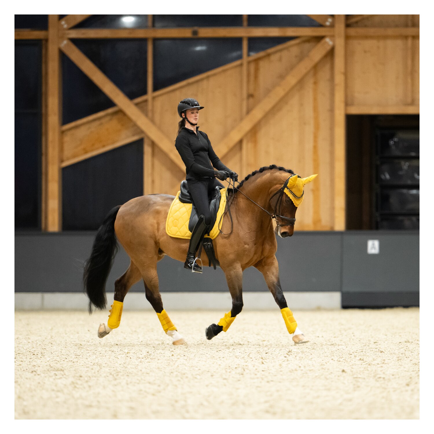 ESKADRON Platinum Schabracke Pro Soft – Ansicht 5