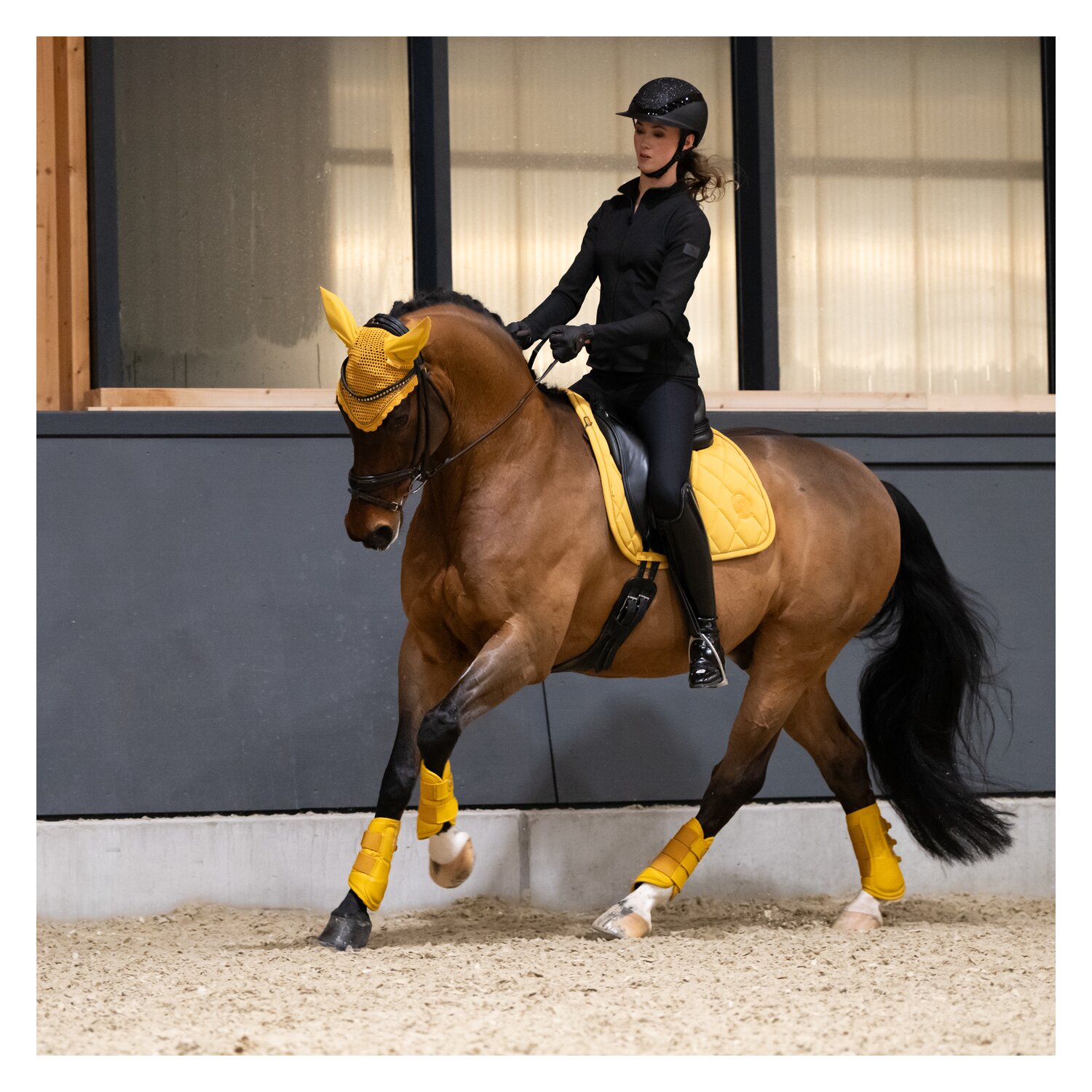ESKADRON Platinum Schabracke Pro Soft – Ansicht 6