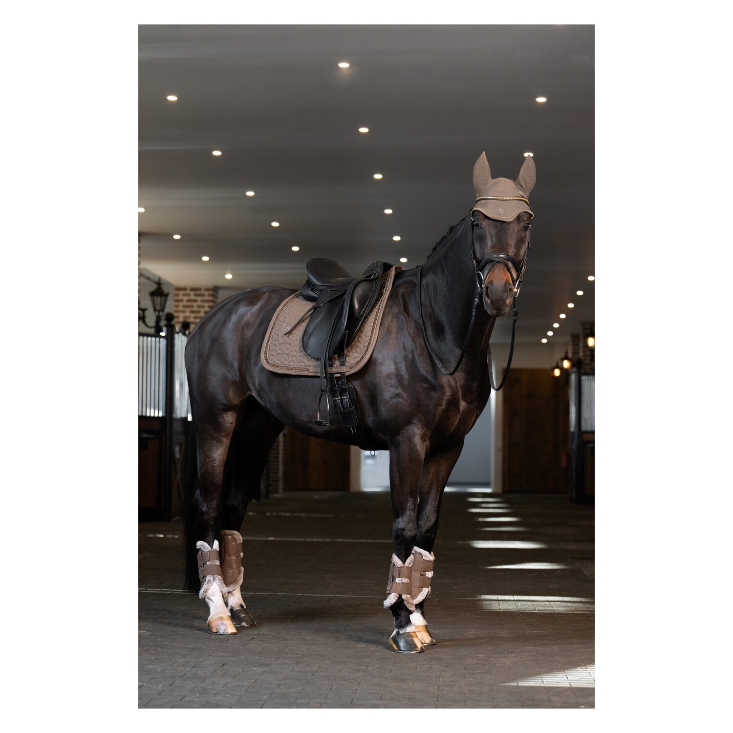 ESKADRON Platinum Schabracke Sparkle Jewel – Ansicht 4