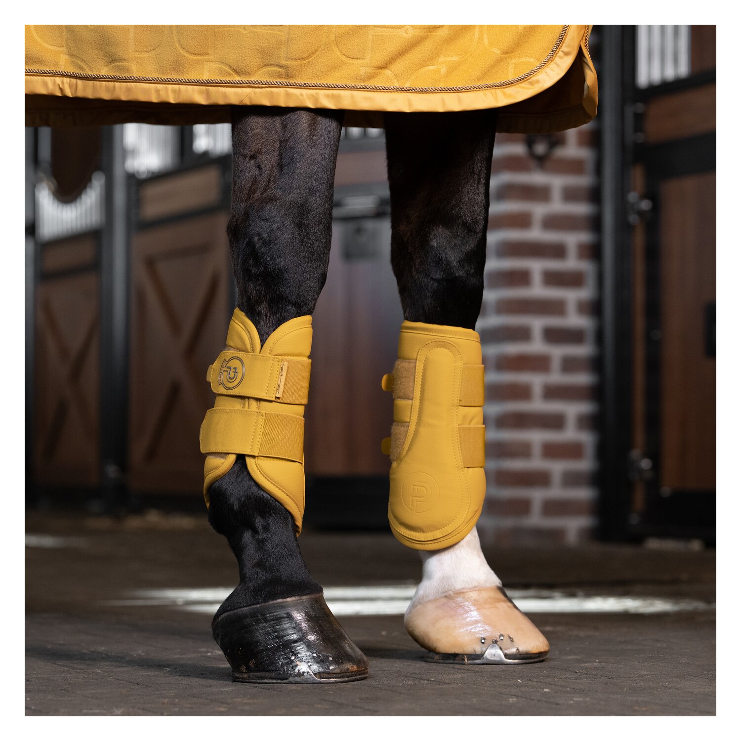 ESKADRON Platinum Gamaschen Faux Leather, für die Vorderbeine – Ansicht 2