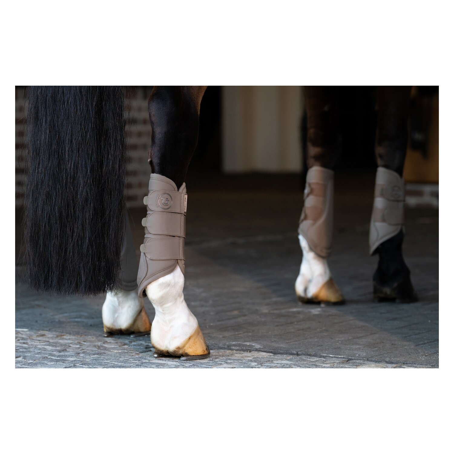ESKADRON Platinum Gamaschen Faux Leather, für die Vorderbeine – Ansicht 2