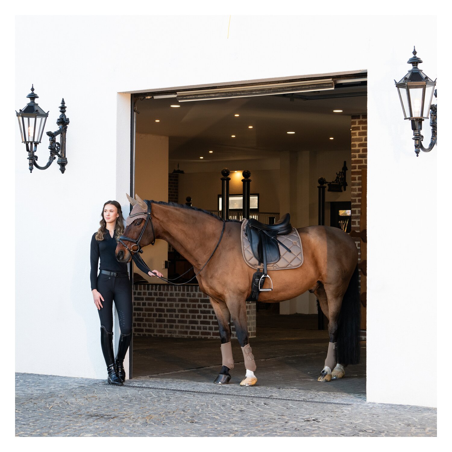 ESKADRON Platinum Gamaschen Pro Dressage Front, für die Vorderbeine – Ansicht 3