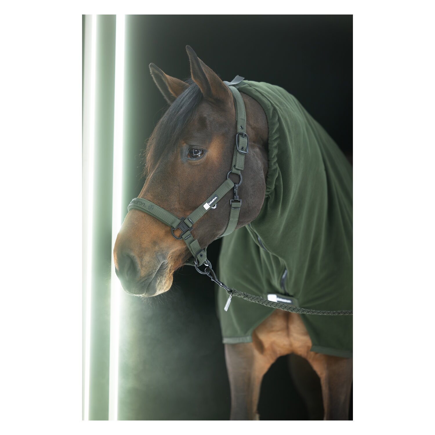 ESKADRON Dynamic Zip-Halsteil Fleece &ndash; Ansicht 4