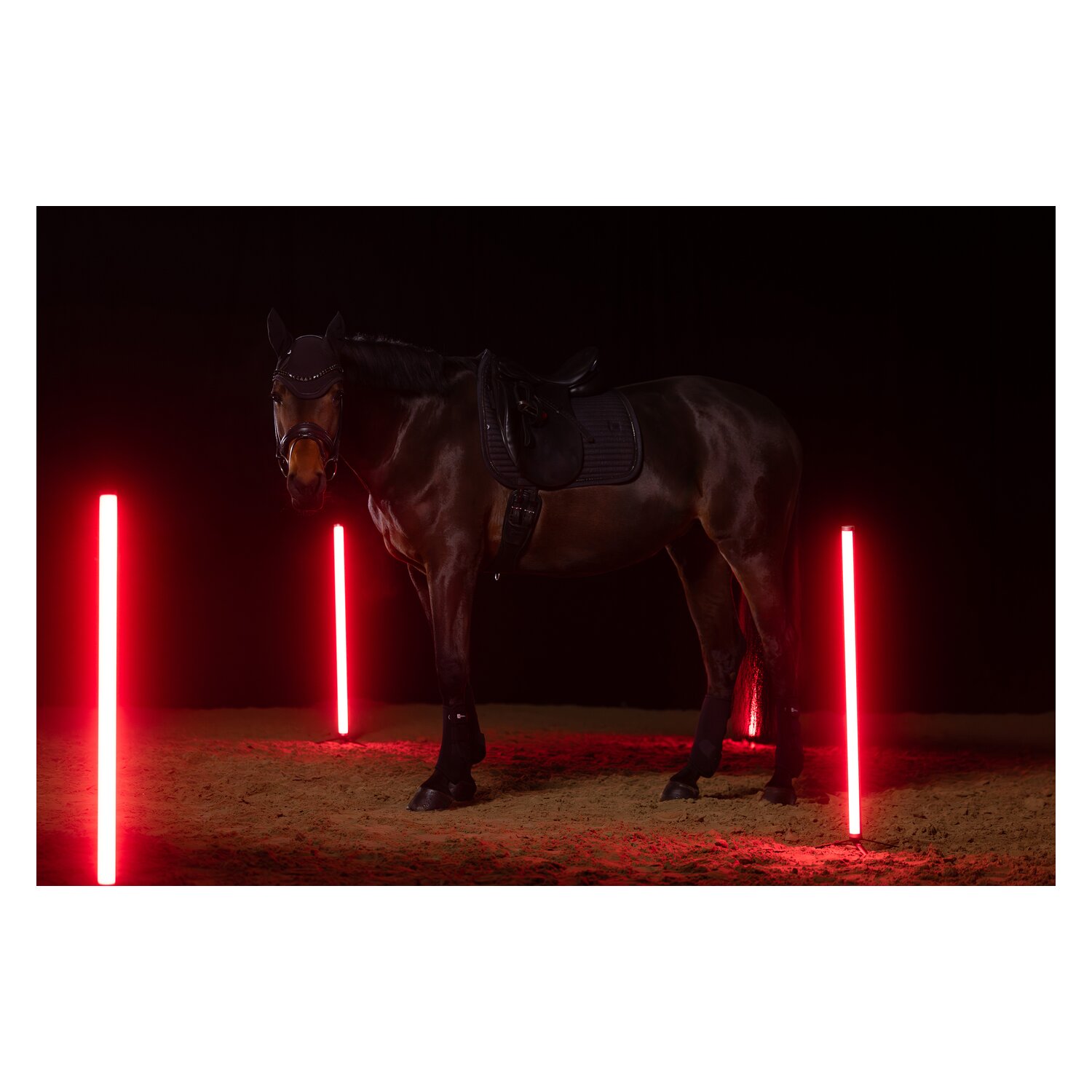 ESKADRON Dynamic Schabracke Sparkle Crystal – Ansicht 4
