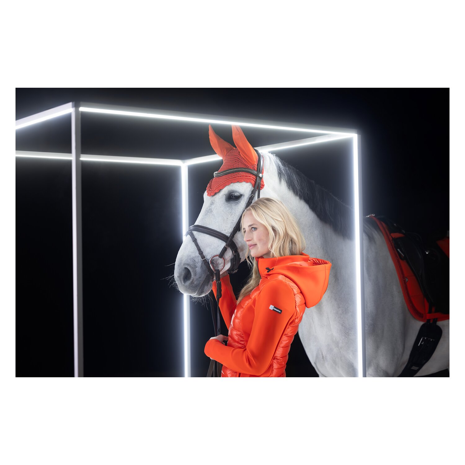 ESKADRON Dynamic Fliegenohren Jewel – Ansicht 3