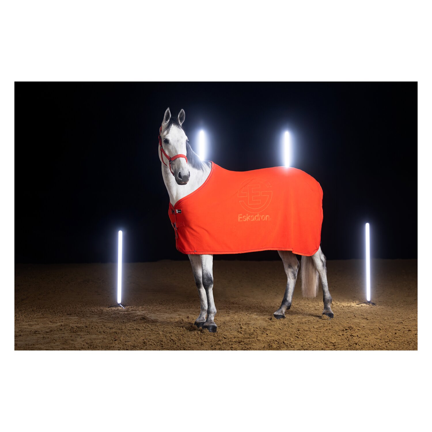 ESKADRON Dynamic Halfter Sparkle Double Pin – Ansicht 4