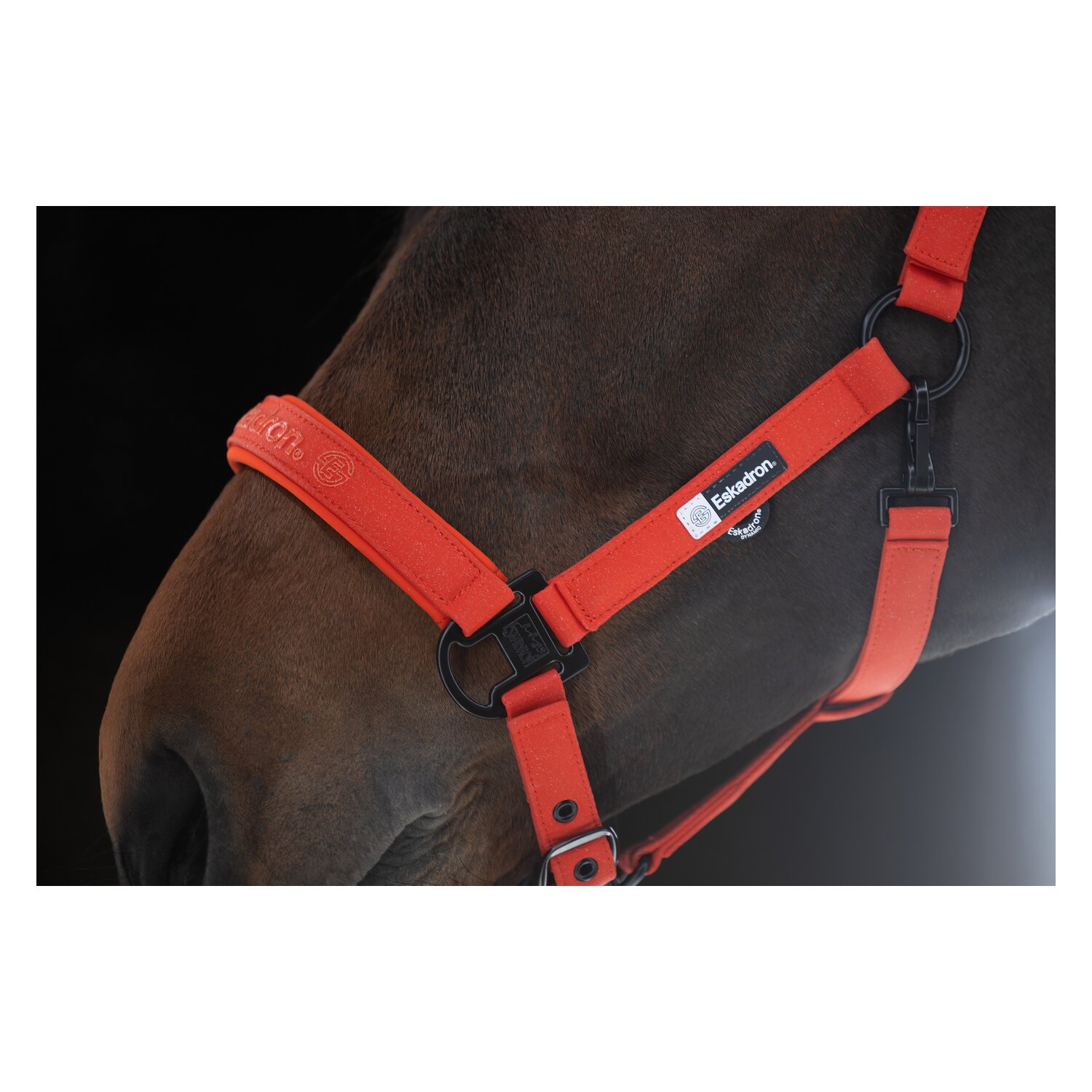 ESKADRON Dynamic Halfter Sparkle Double Pin – Ansicht 2