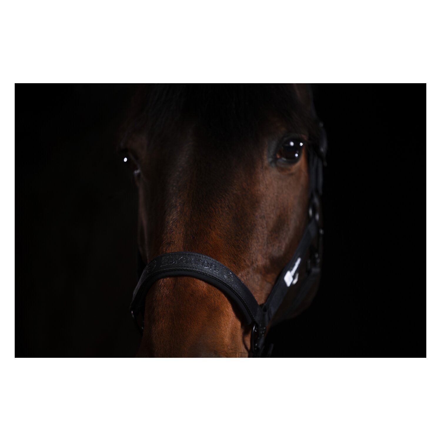 ESKADRON Dynamic Halfter Sparkle Double Pin – Ansicht 2