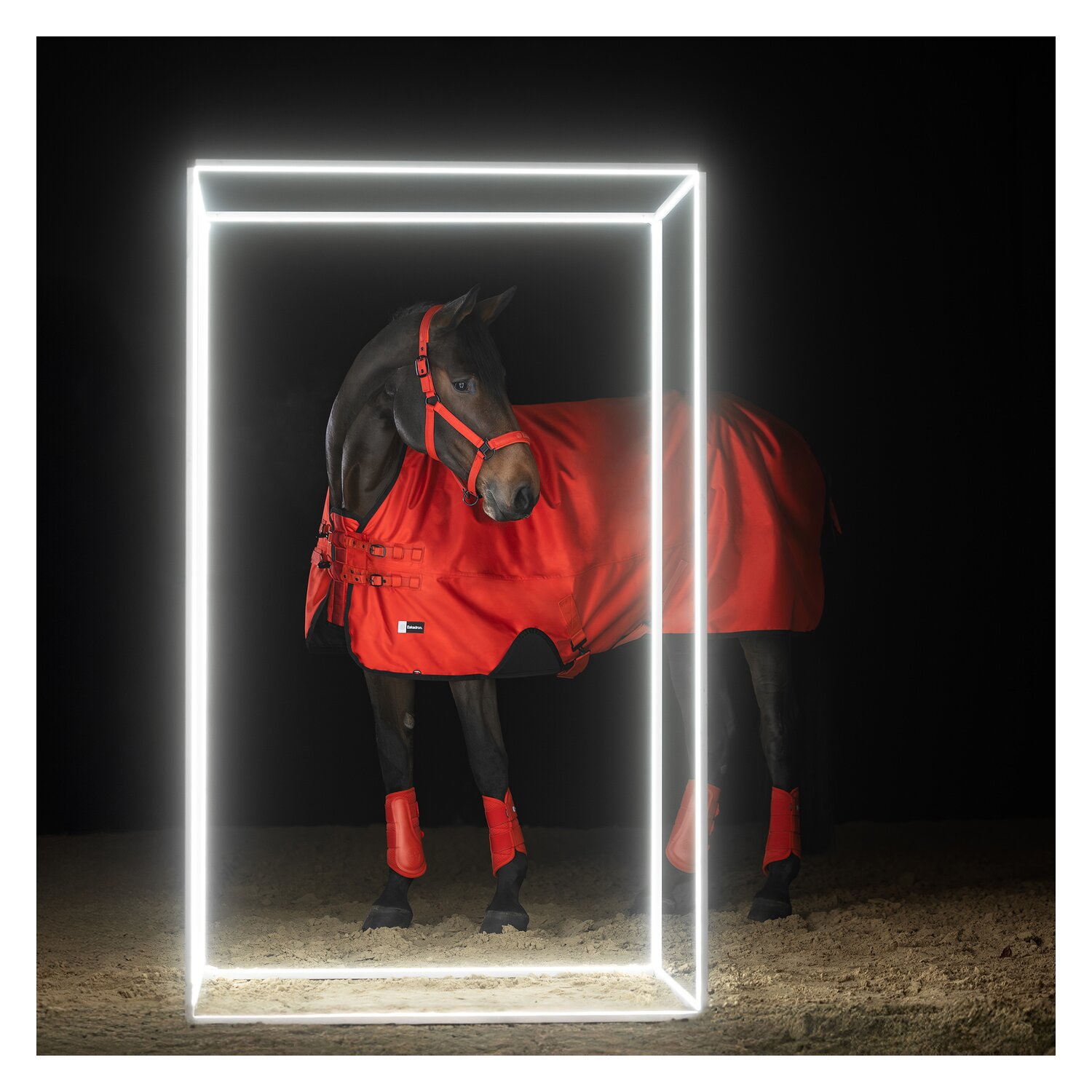 ESKADRON Dynamic Gamaschen Mesh Gamaschen Mesh, für Vorder- und Hinterbeine – Ansicht 3