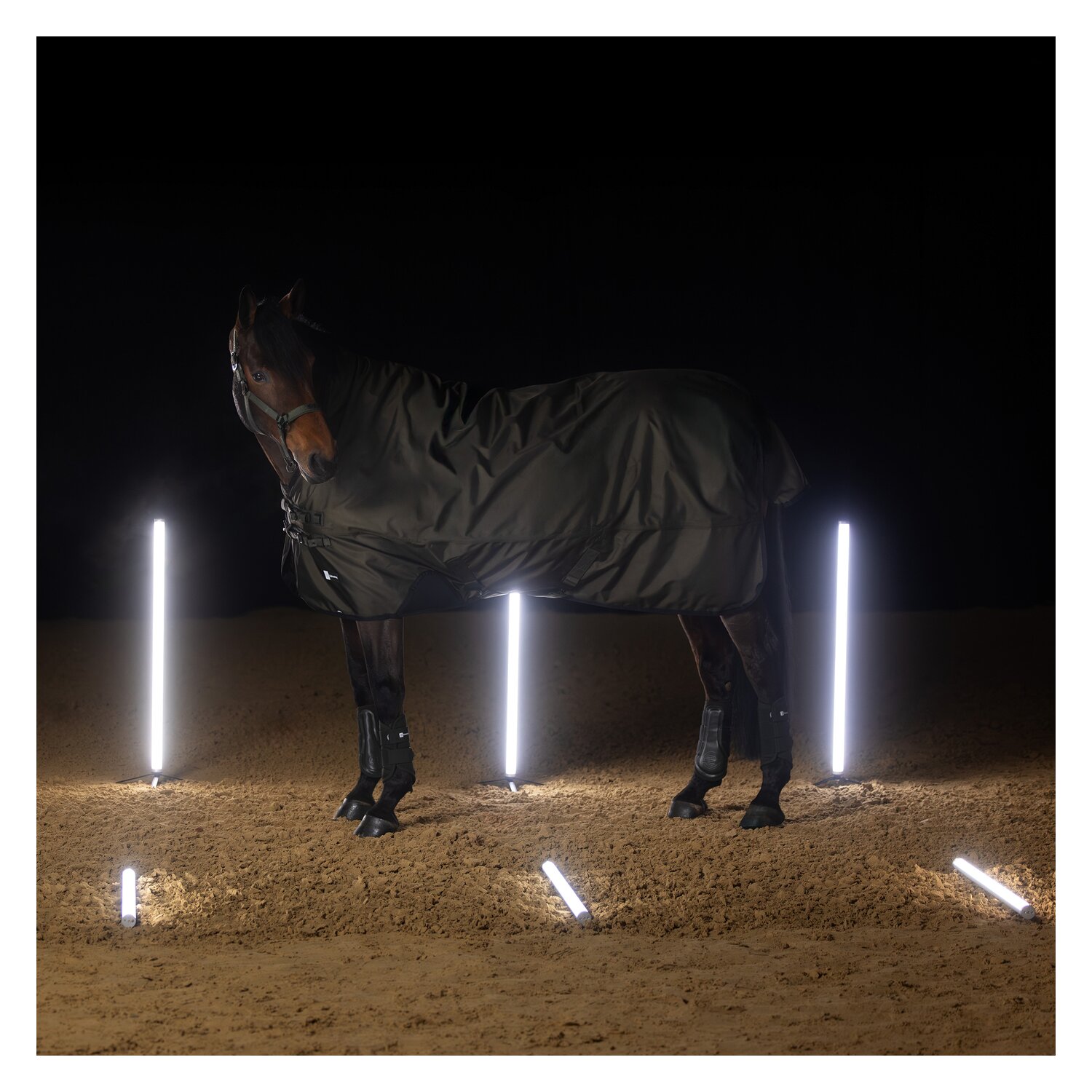 ESKADRON Dynamic Gamaschen Mesh Gamaschen Mesh, für Vorder- und Hinterbeine – Ansicht 2