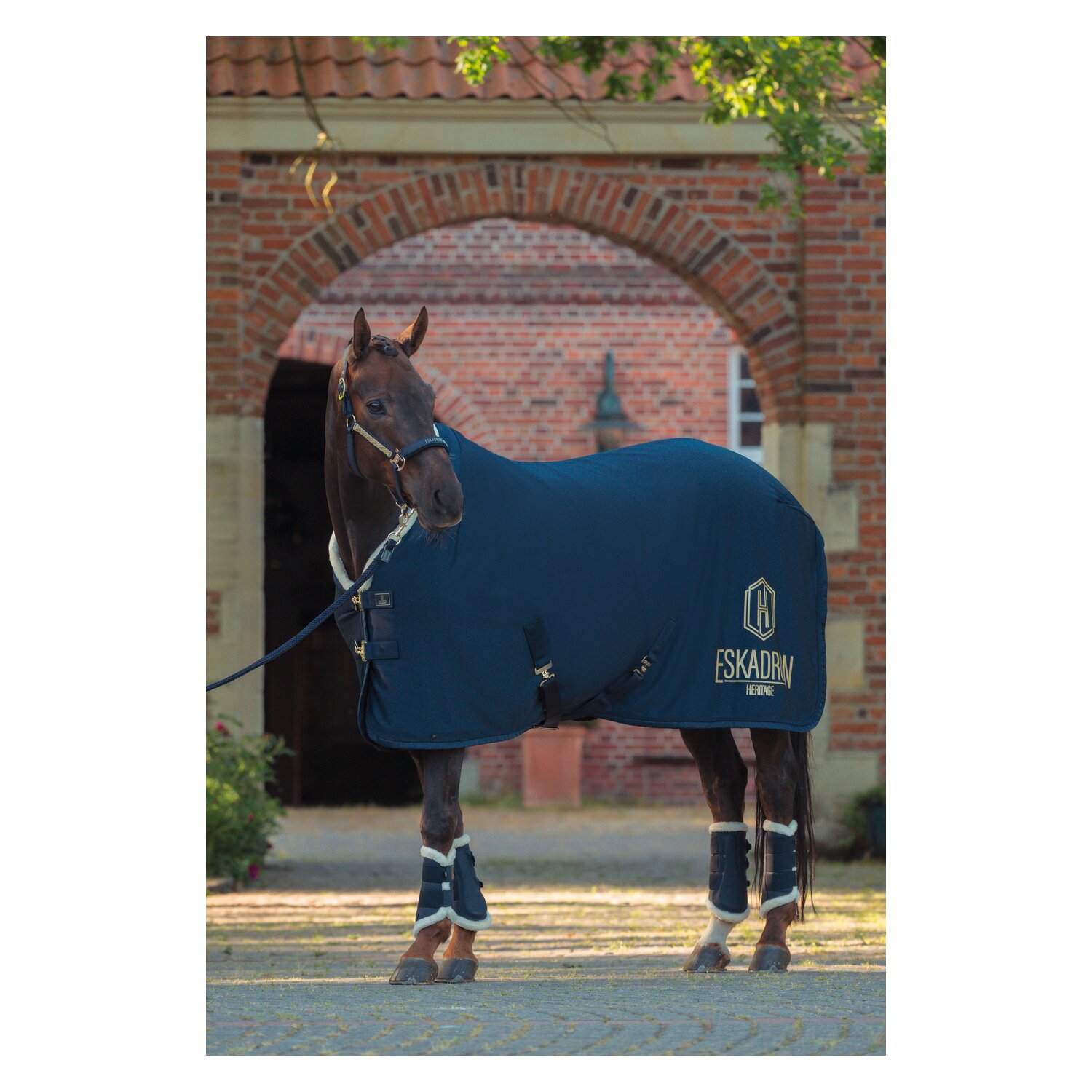 ESKADRON Heritage Abschwitzdecke Aerial Jersey – Ansicht 2