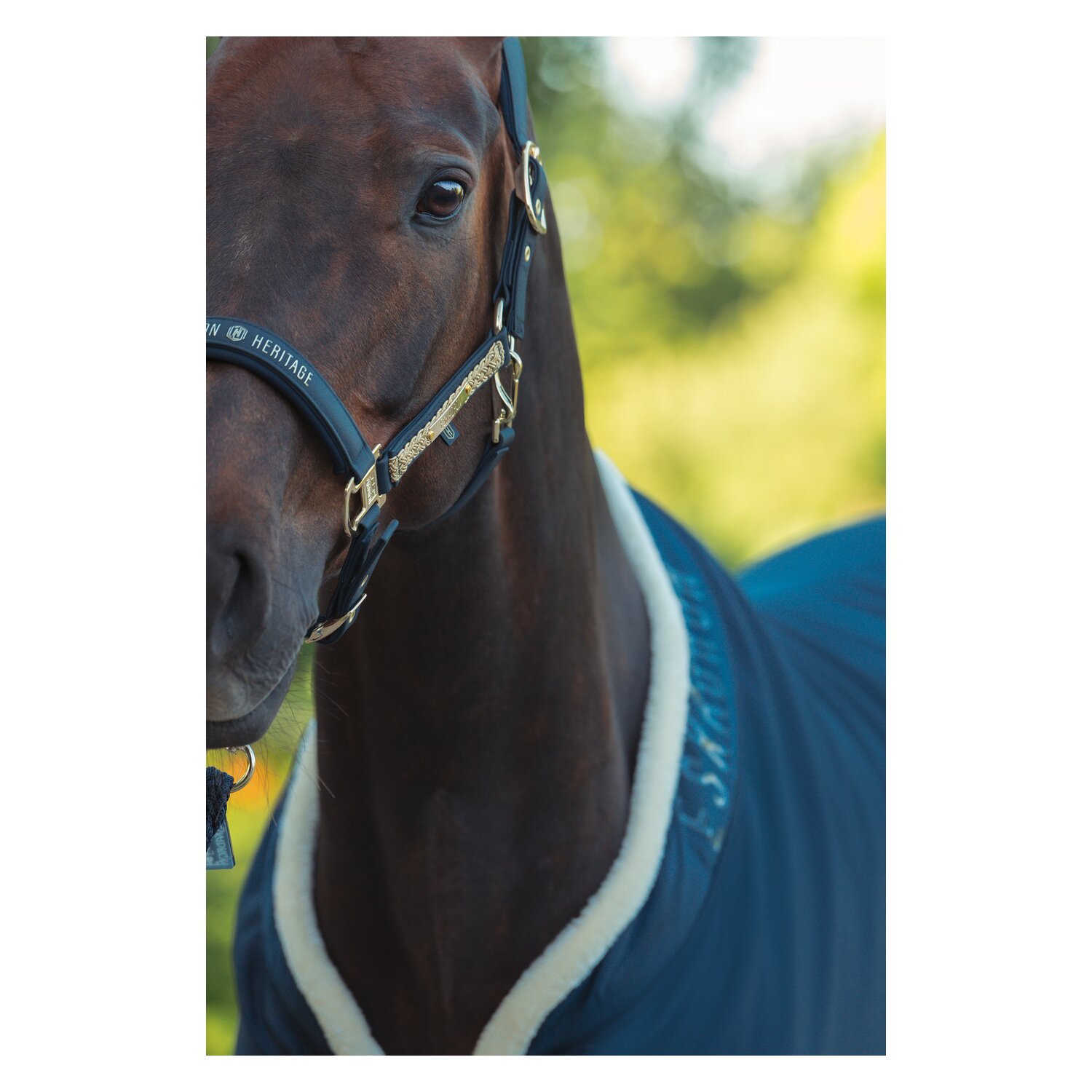 ESKADRON Heritage Abschwitzdecke Aerial Jersey – Ansicht 3