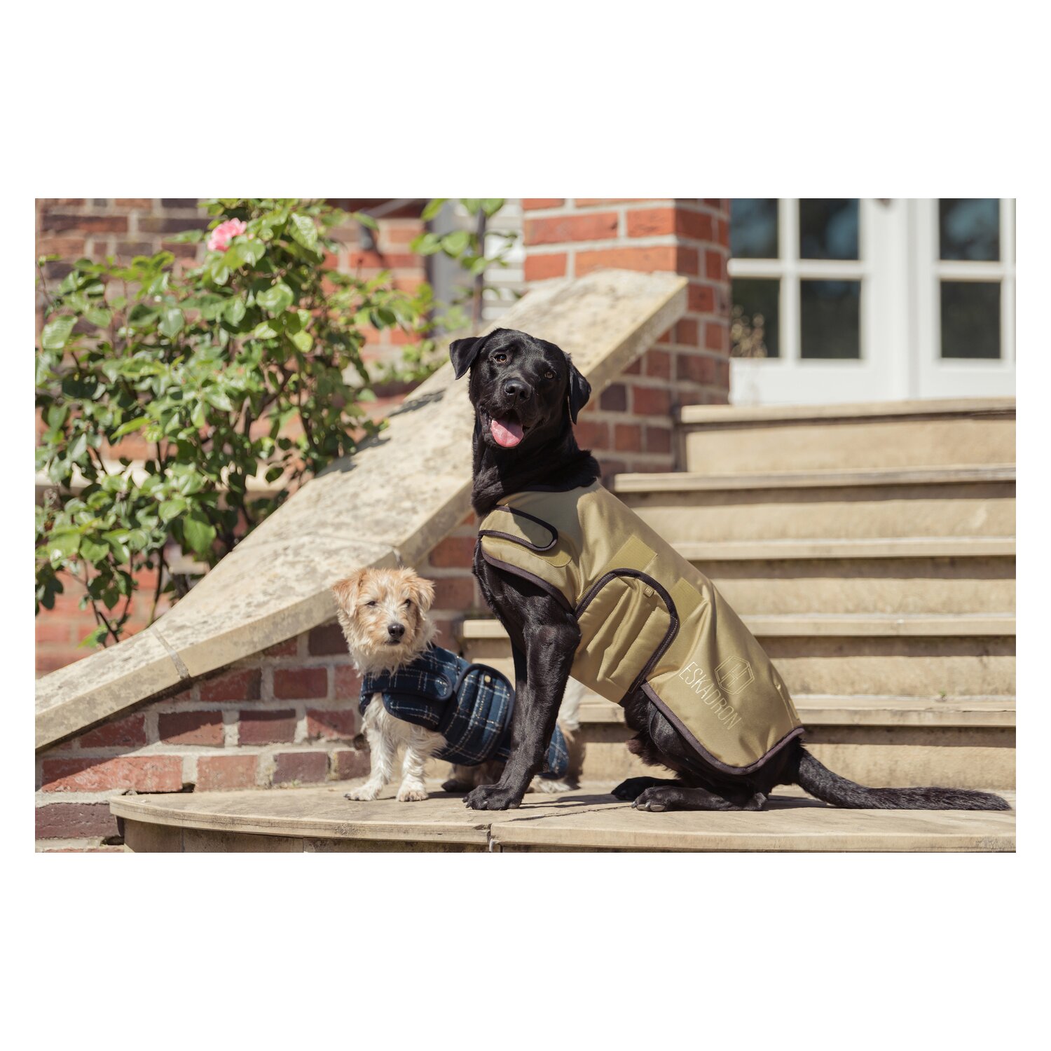 ESKADRON Heritage Hundemantel – Ansicht 2